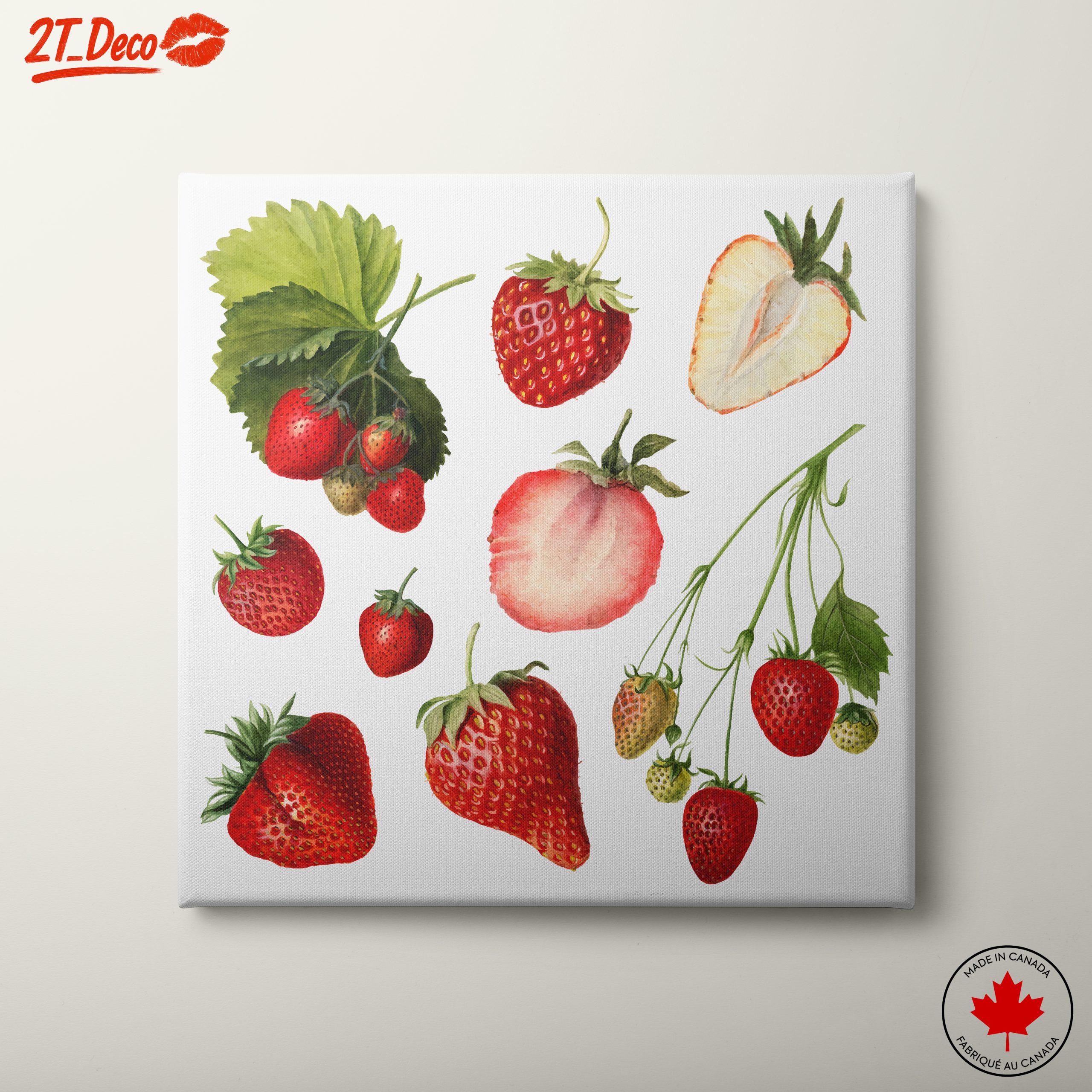 Stylized Strawberry Illustrations