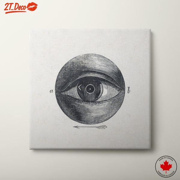 Anatomical Eye Illustration