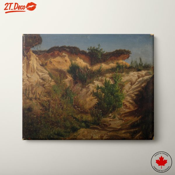 Lush Sandy Terrain Landscape
