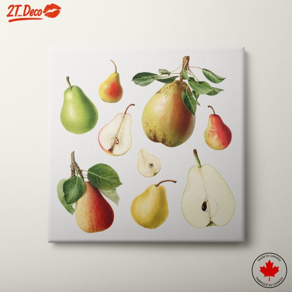 Variety of Pears Abstract Food Art
