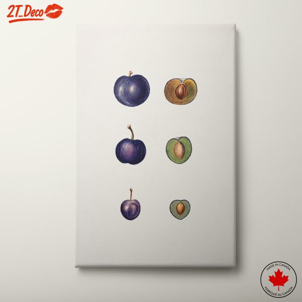 Stylized Fruit Illustration Art