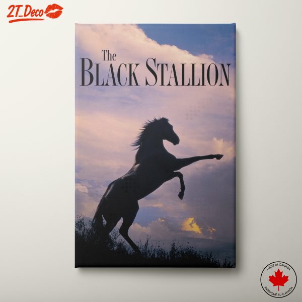 Majestic Black Stallion in Dramatic Landscape