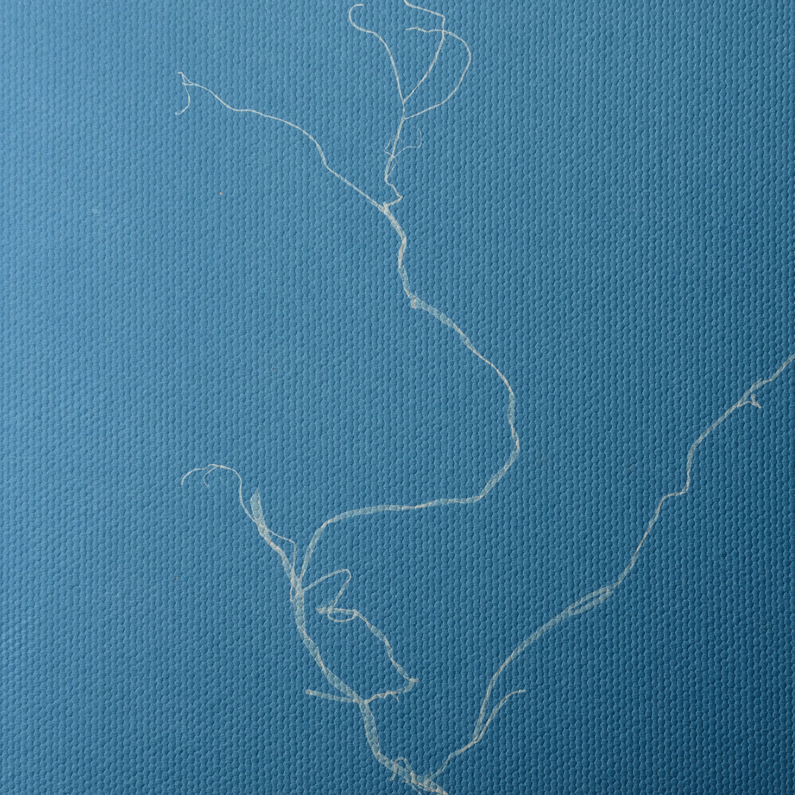 Minimalist Abstract Artwork in Blue - Image 4