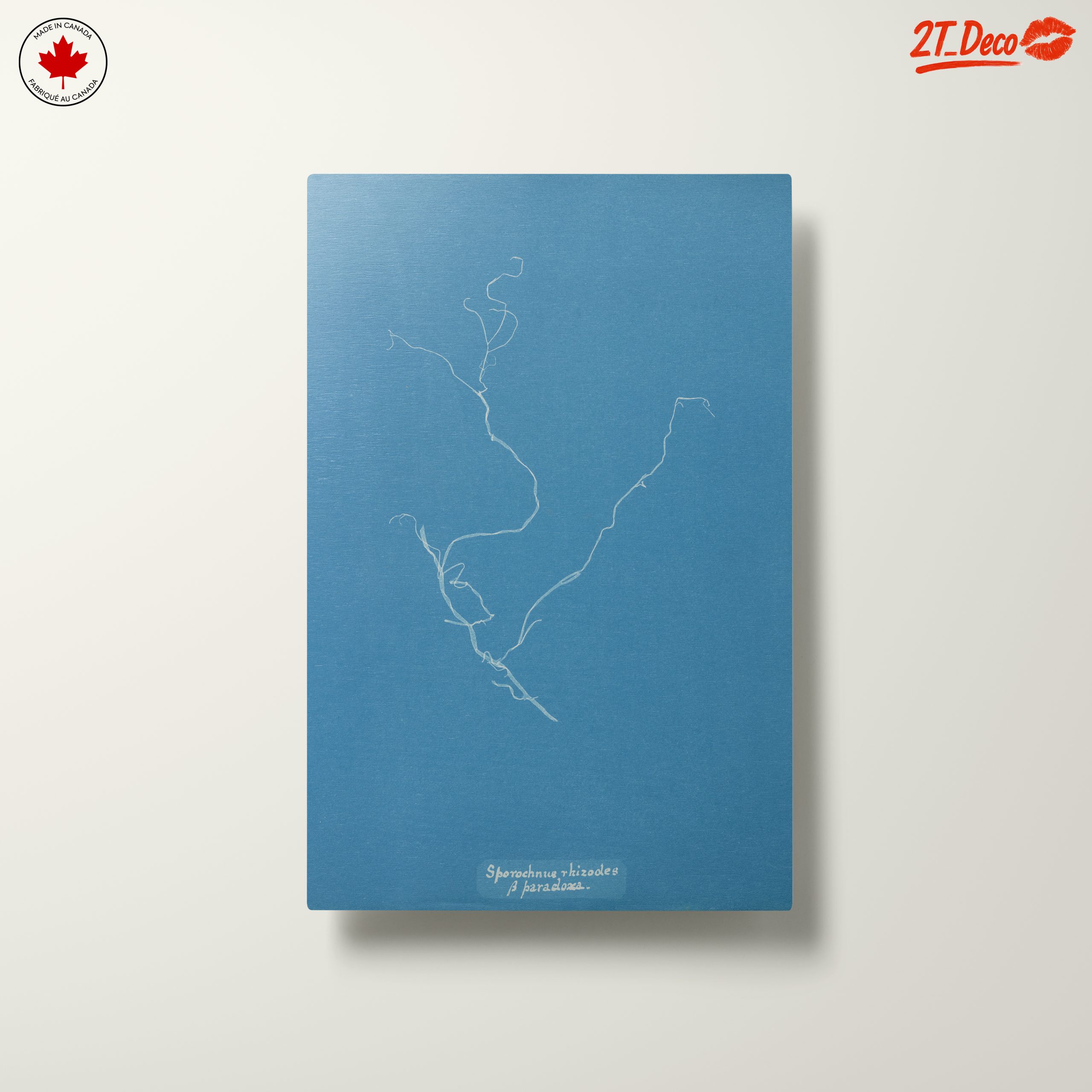 Minimalist Abstract Artwork in Blue - Image 10