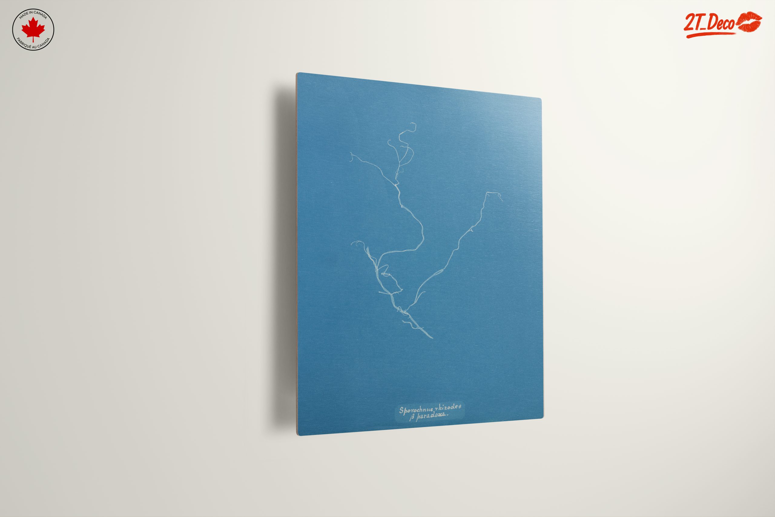 Minimalist Abstract Artwork in Blue - Image 13