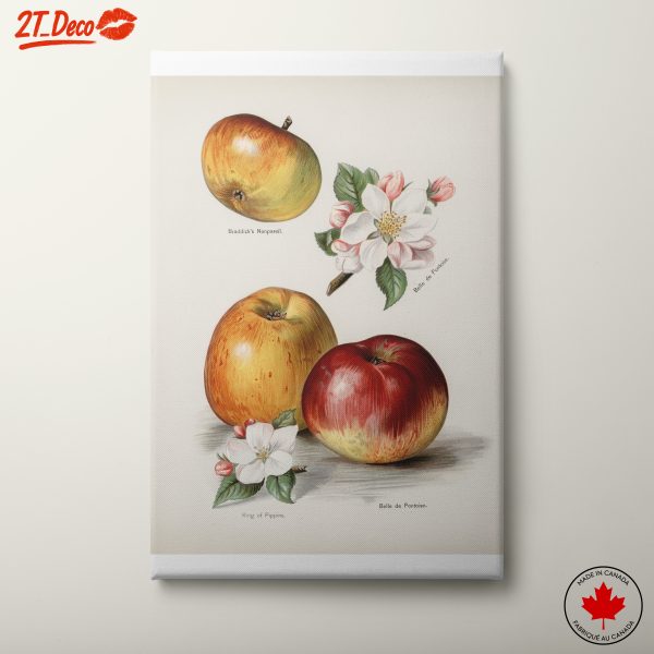 Artistic Depiction of Apples and Blossoms