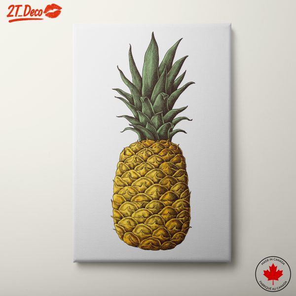 Stylized Pineapple Illustration for Kitchen Decor