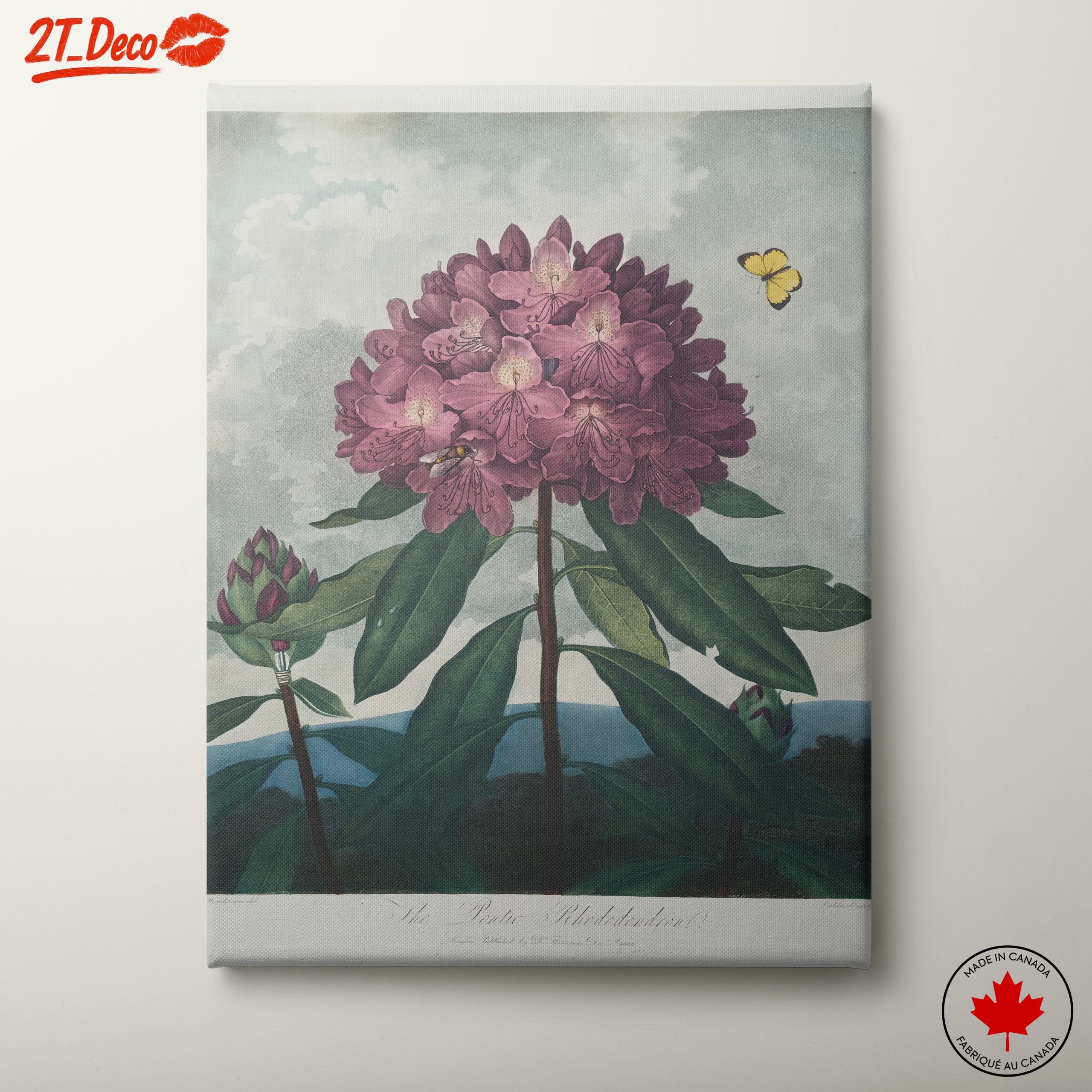 Vibrant Rhododendron Floral Art