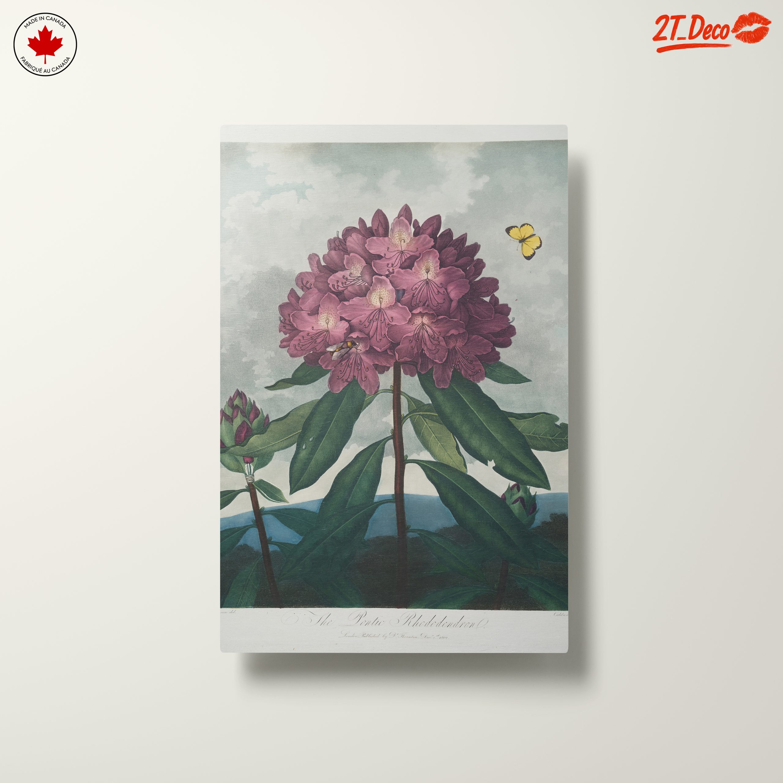 Vibrant Rhododendron Floral Art - Image 10