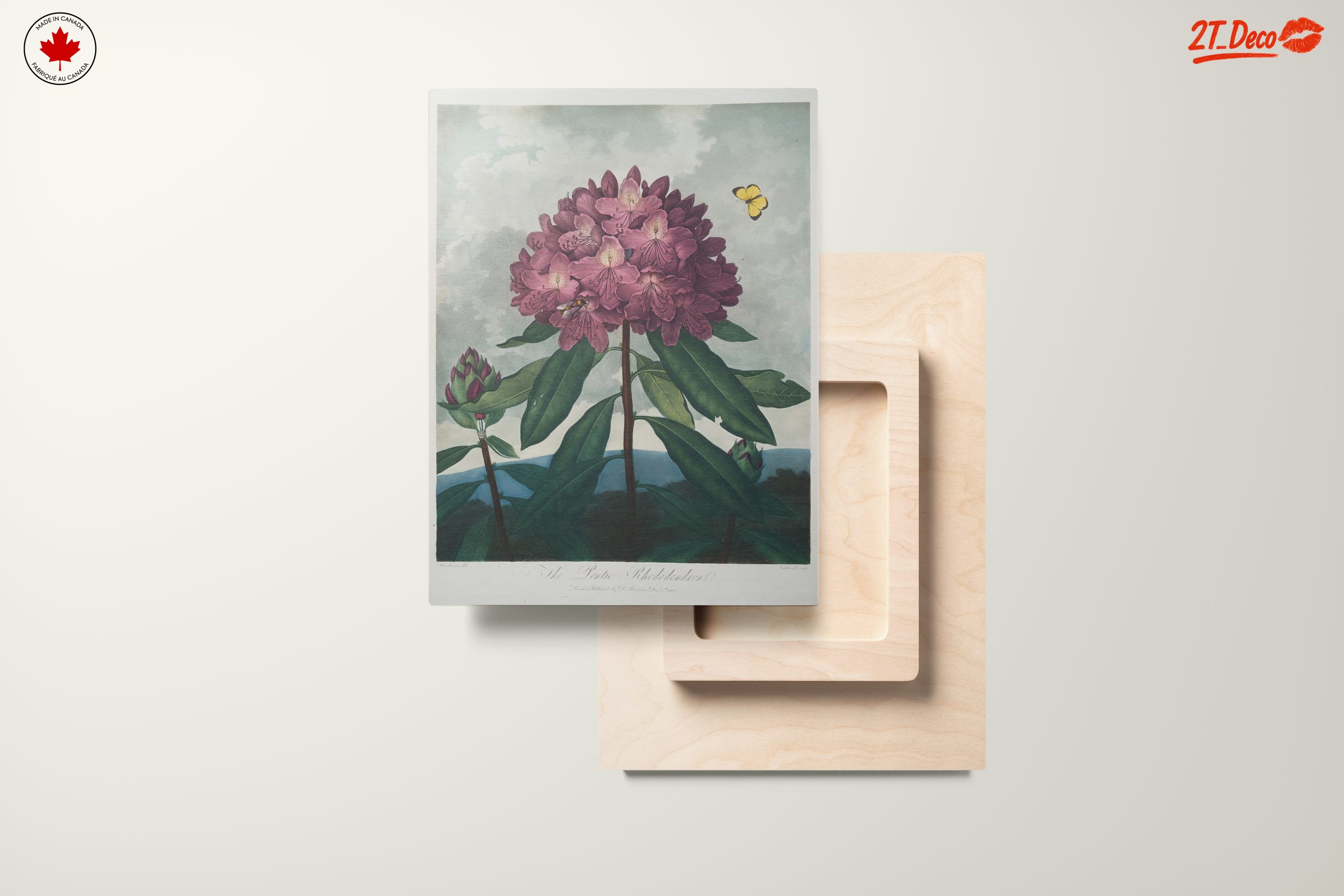 Vibrant Rhododendron Floral Art - Image 11