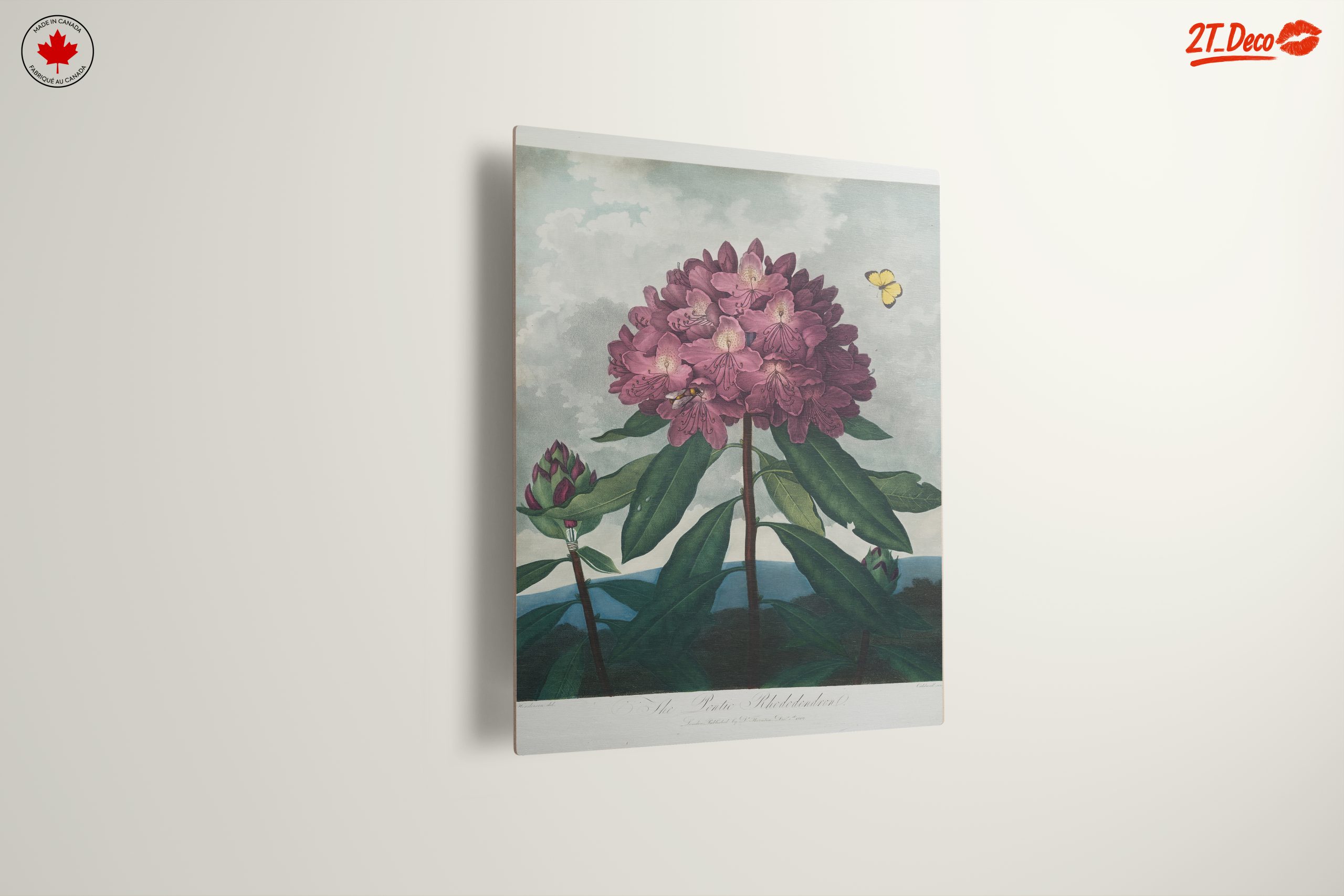 Vibrant Rhododendron Floral Art - Image 13