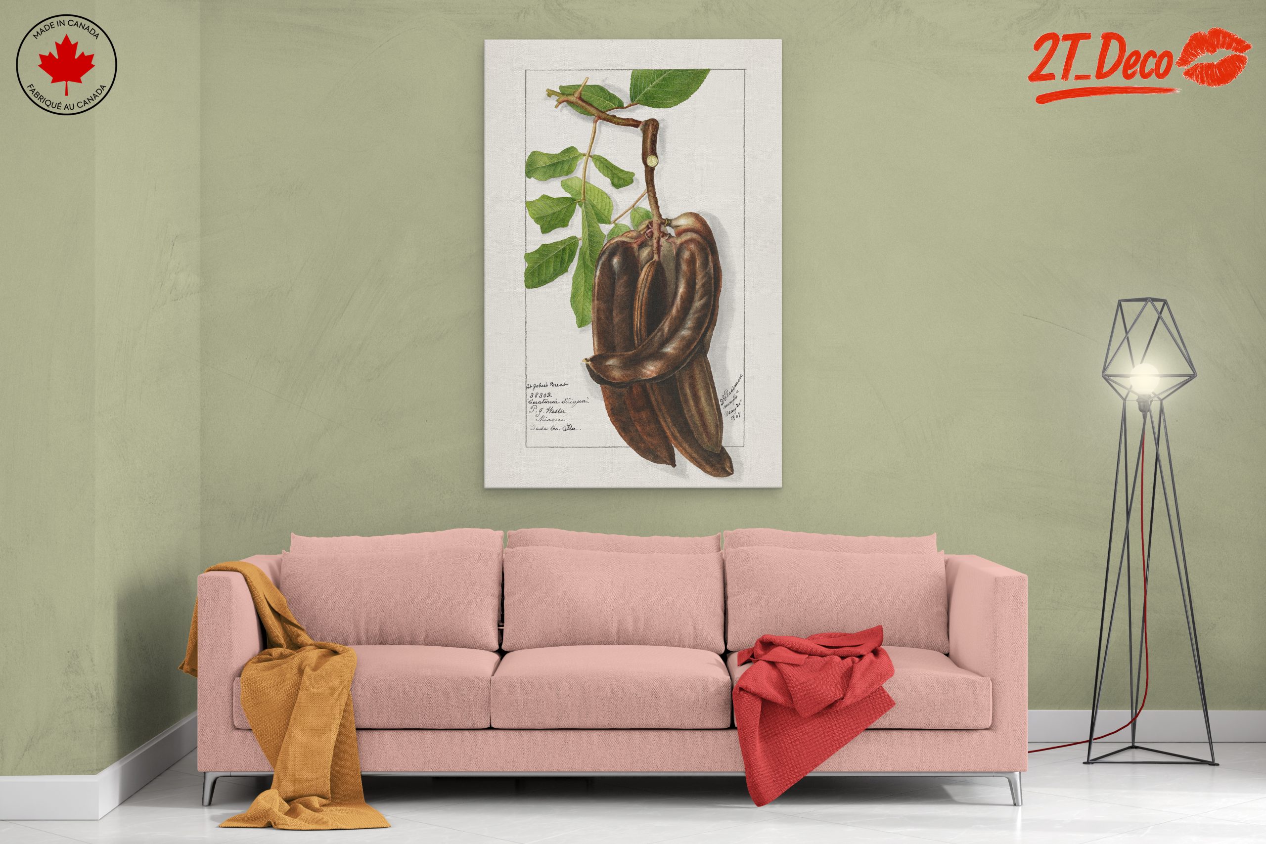 Elegant Botanical Illustration of Exotic Pods - Image 2