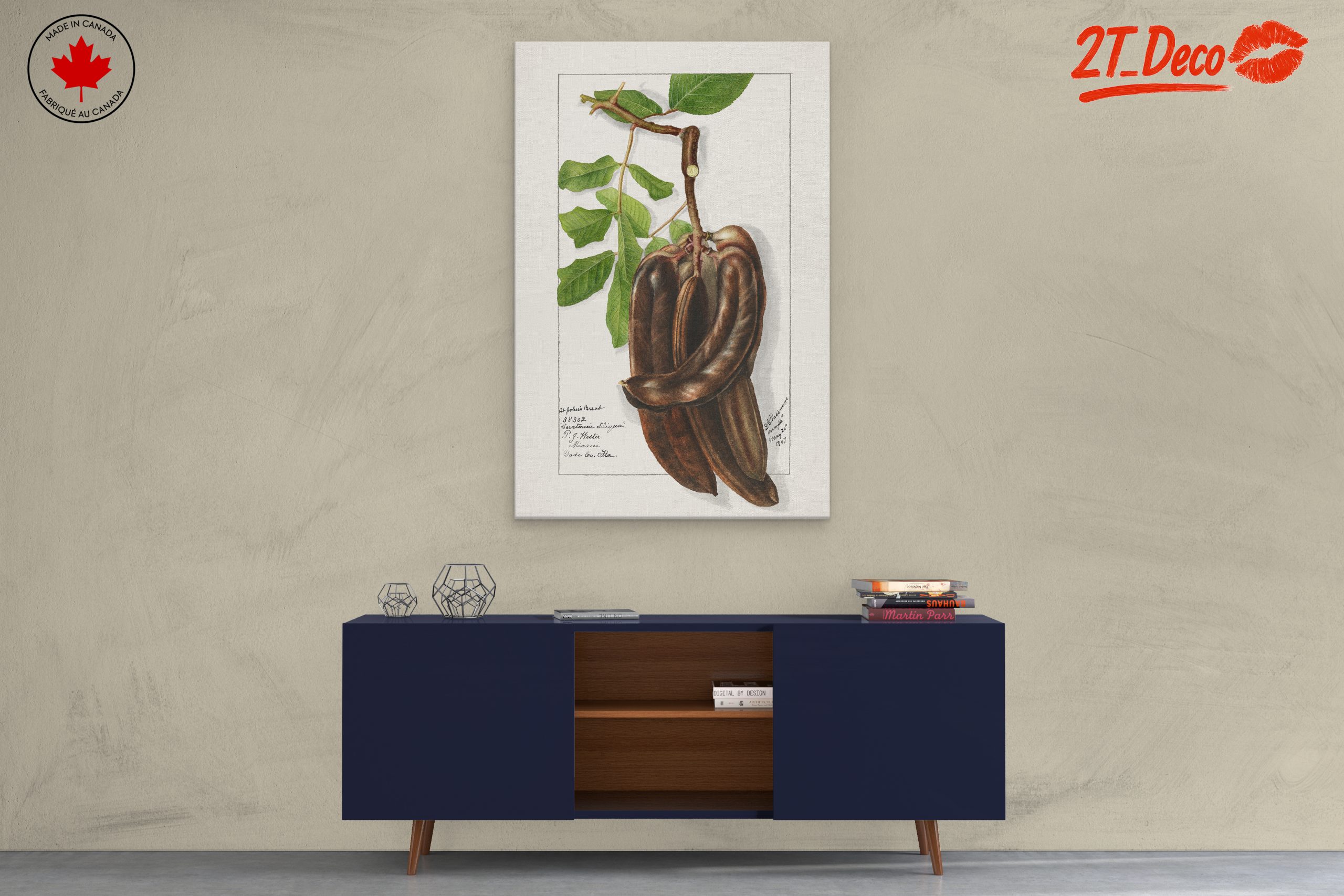 Elegant Botanical Illustration of Exotic Pods - Image 3