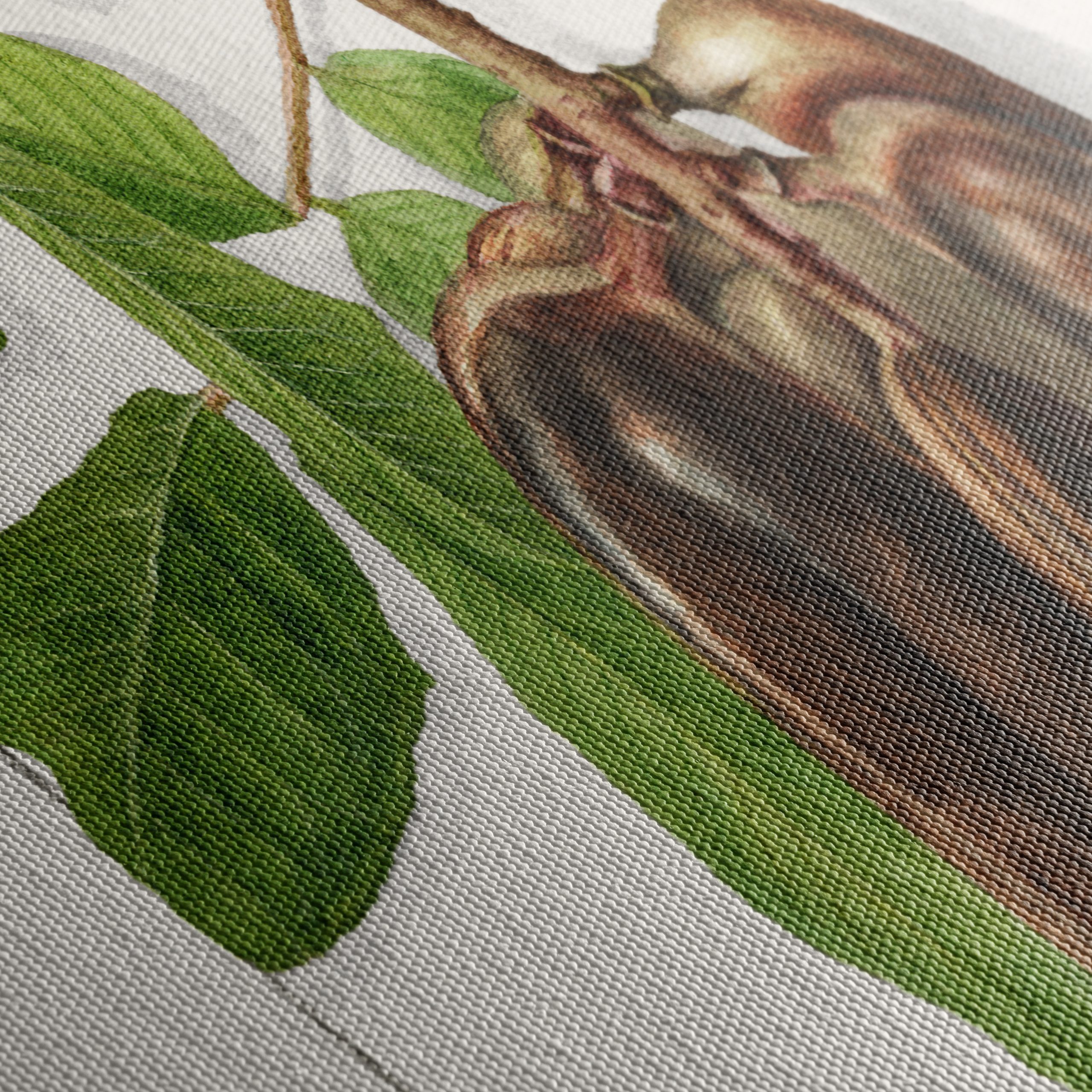 Elegant Botanical Illustration of Exotic Pods - Image 5