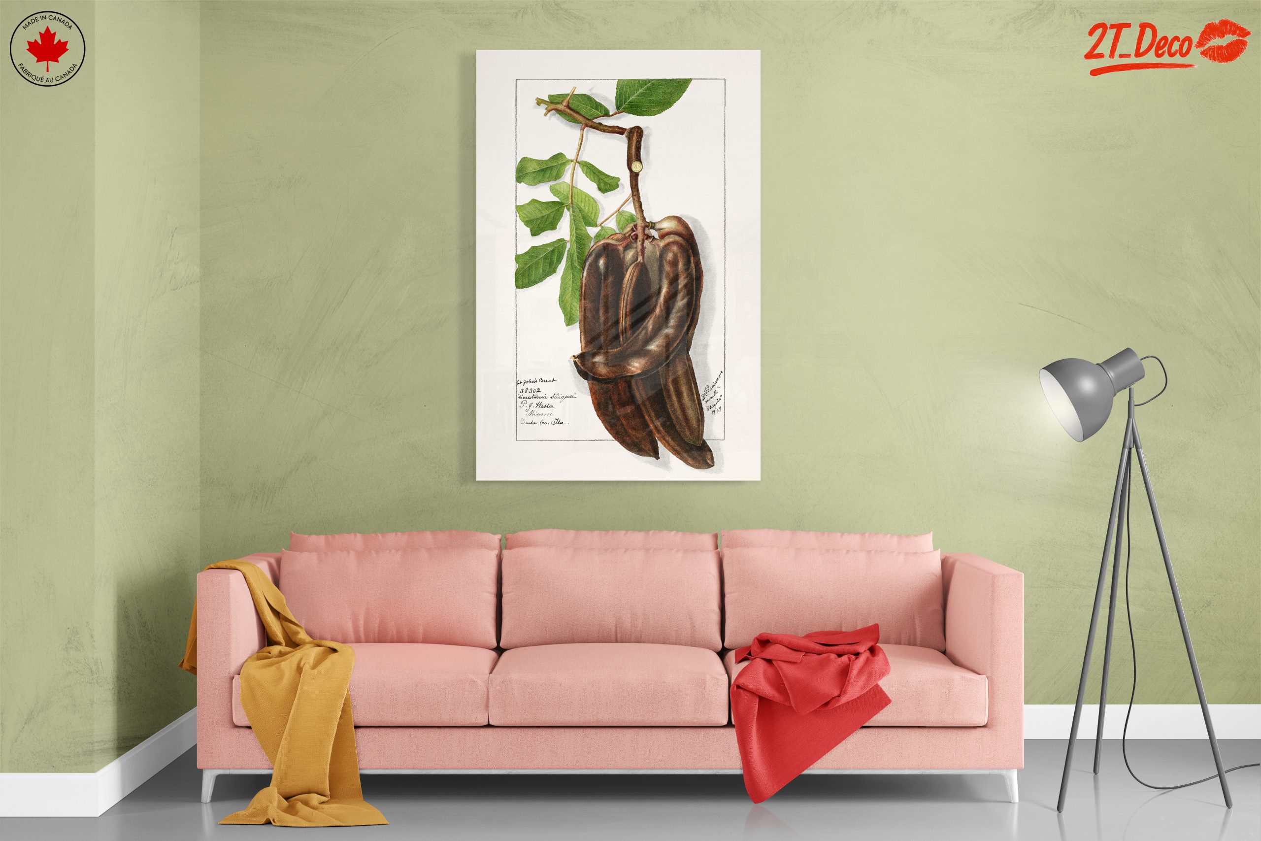Elegant Botanical Illustration of Exotic Pods - Image 7