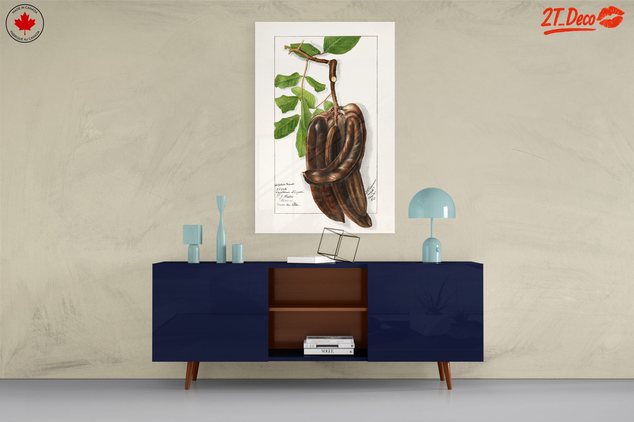 Elegant Botanical Illustration of Exotic Pods - Image 8