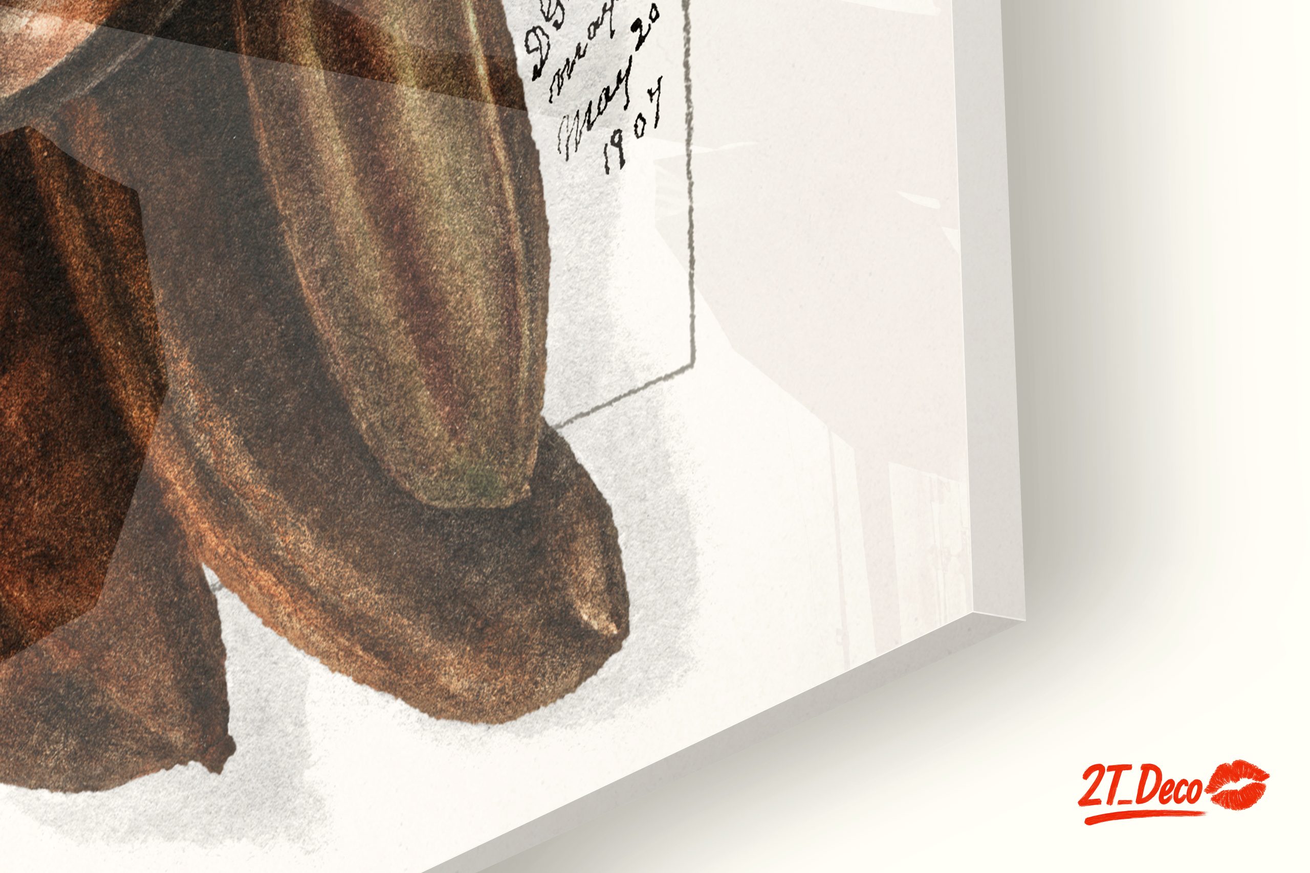 Elegant Botanical Illustration of Exotic Pods - Image 9