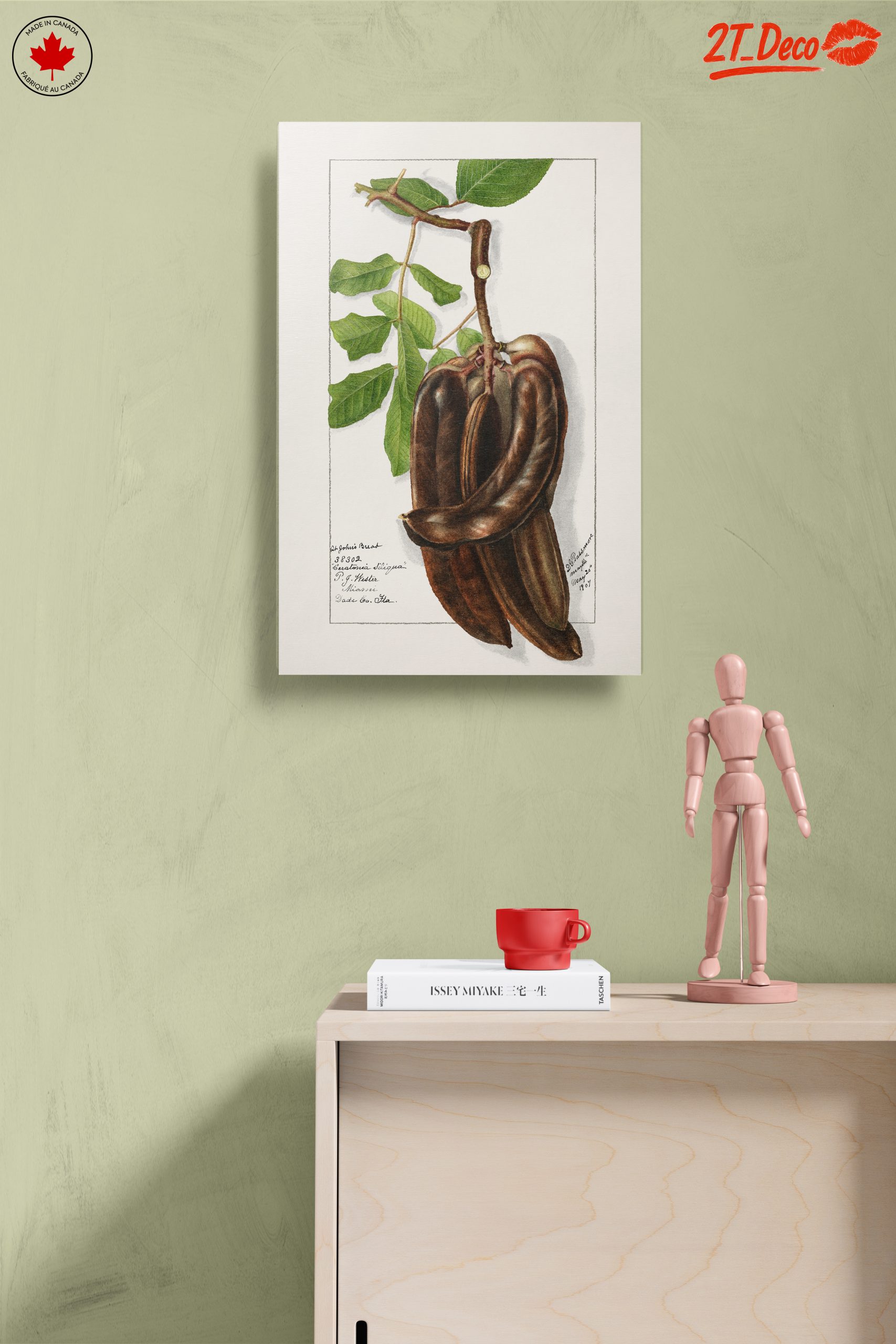 Elegant Botanical Illustration of Exotic Pods - Image 14
