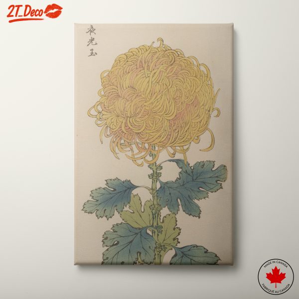 Chrysanthemum Flower Botanical Art