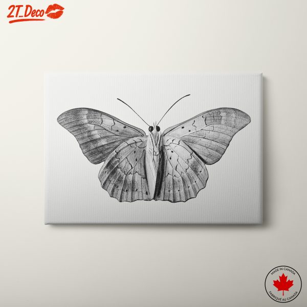 Detailed Butterfly Illustration Art 4
