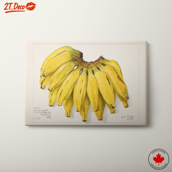 Banana Still Life in Abstract Style