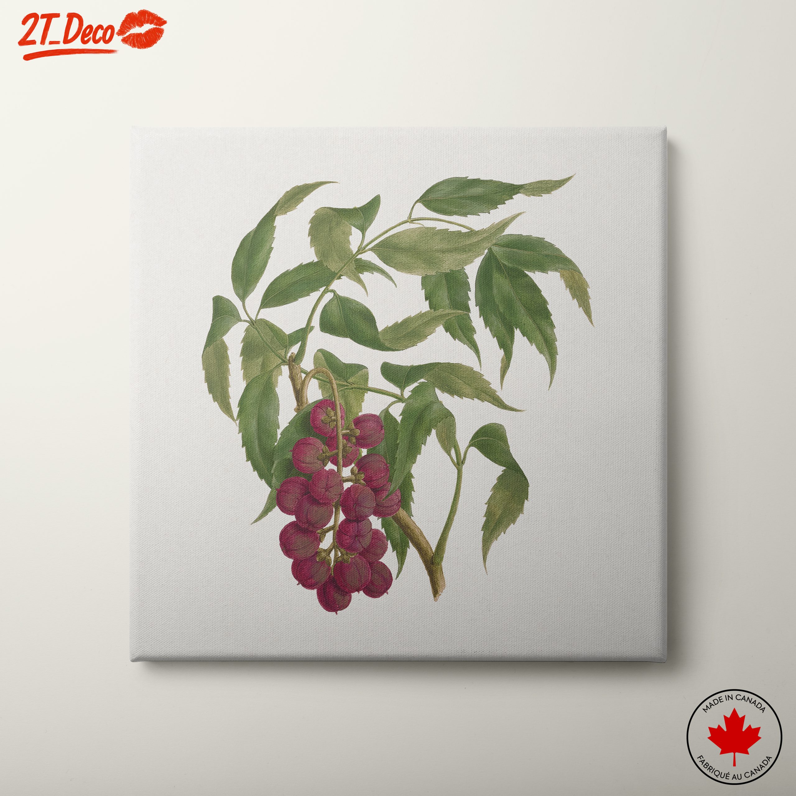Detailed Botanical Illustration of Berries
