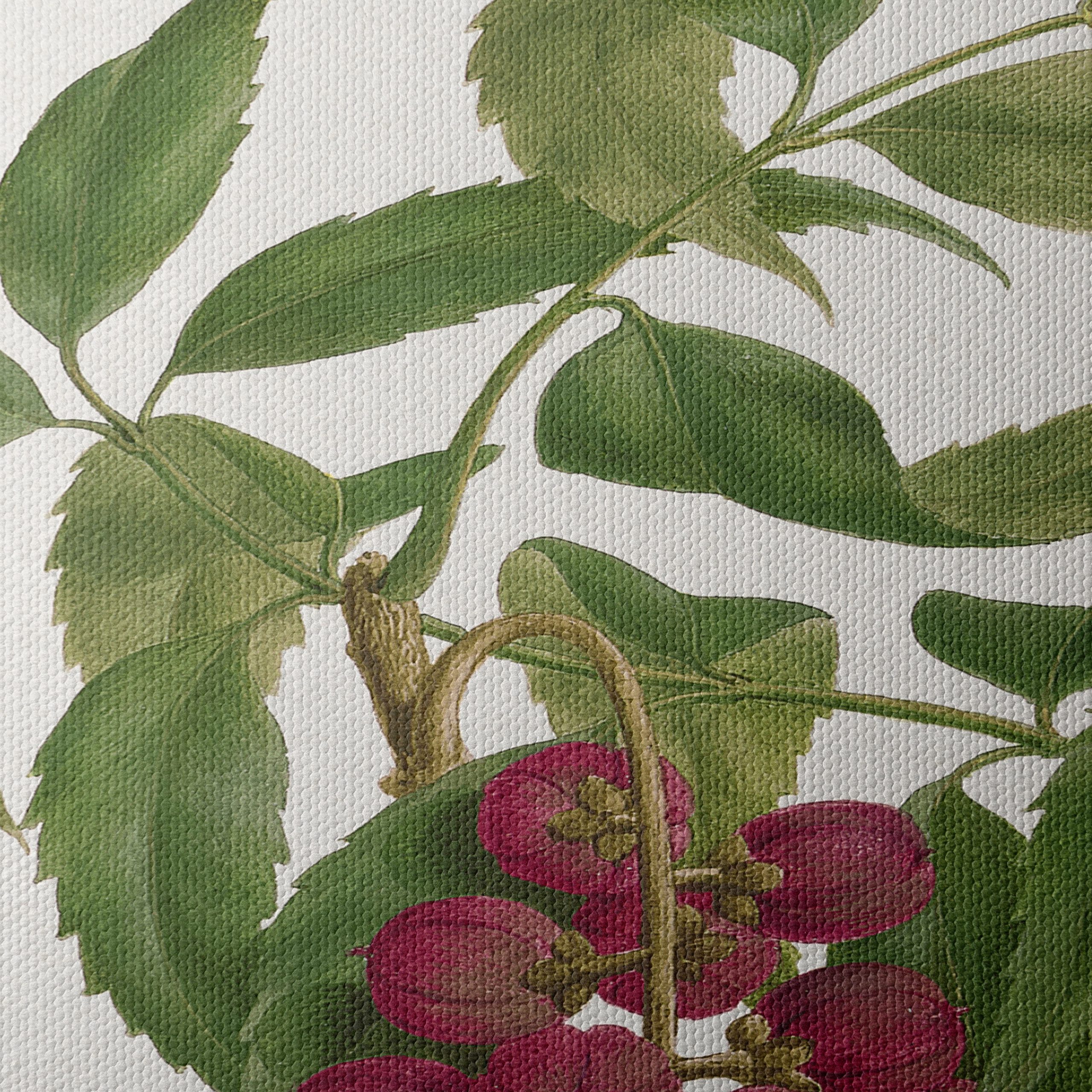 Detailed Botanical Illustration of Berries - Image 4
