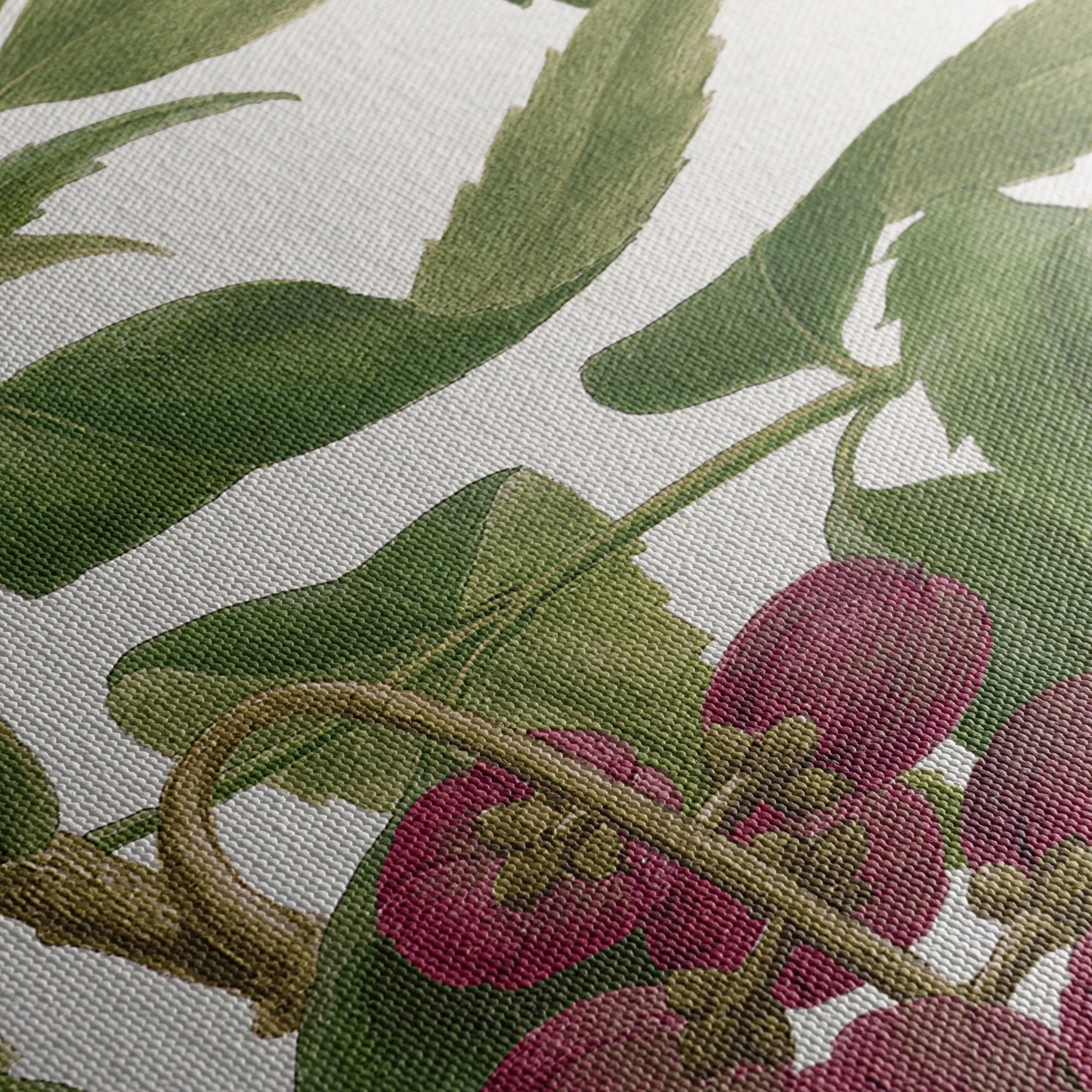 Detailed Botanical Illustration of Berries - Image 5