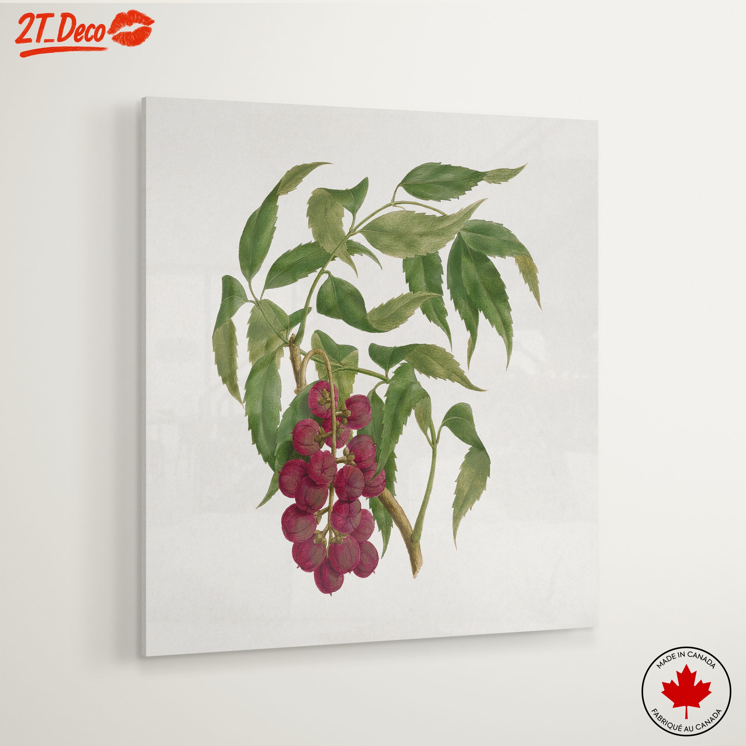 Detailed Botanical Illustration of Berries - Image 6