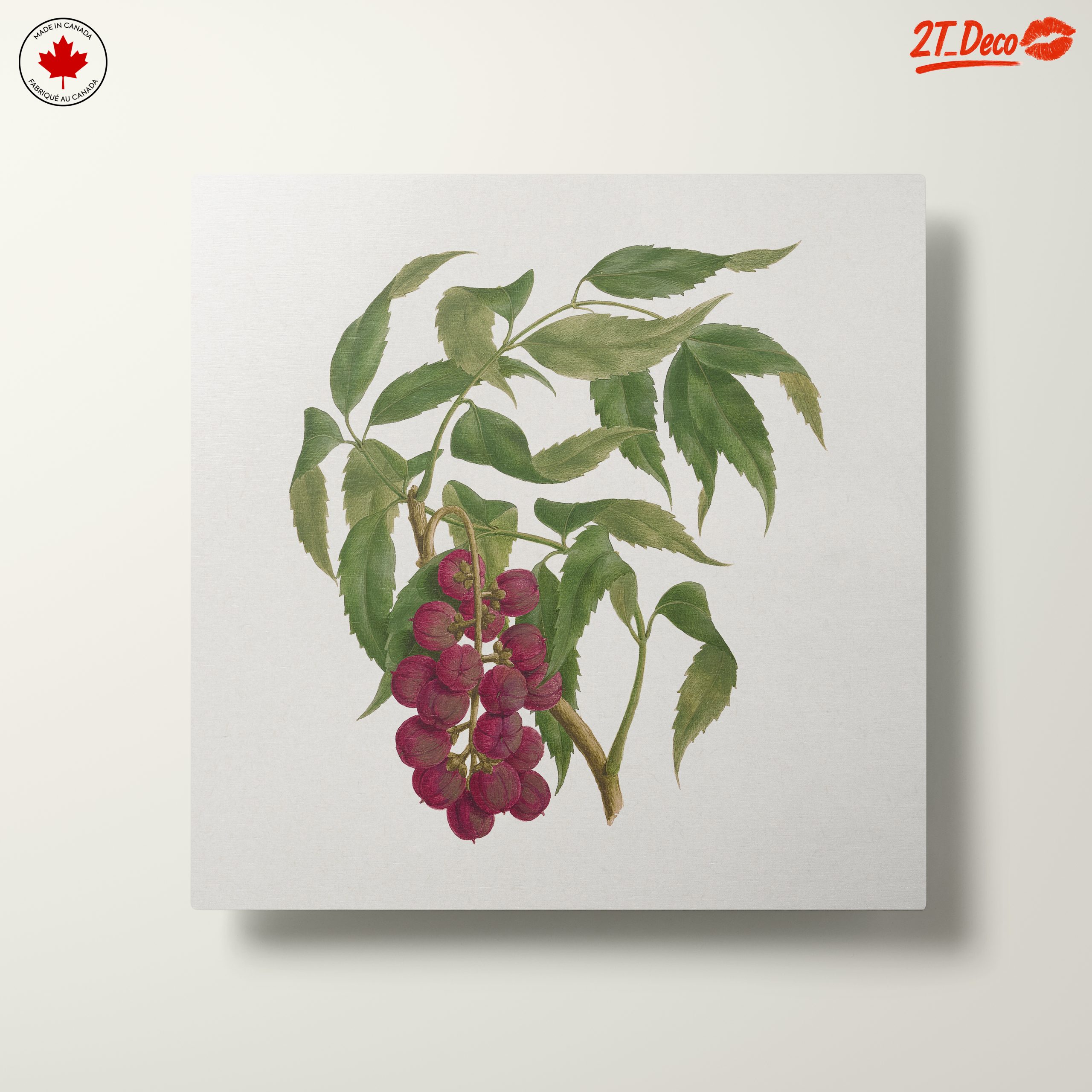 Detailed Botanical Illustration of Berries - Image 10
