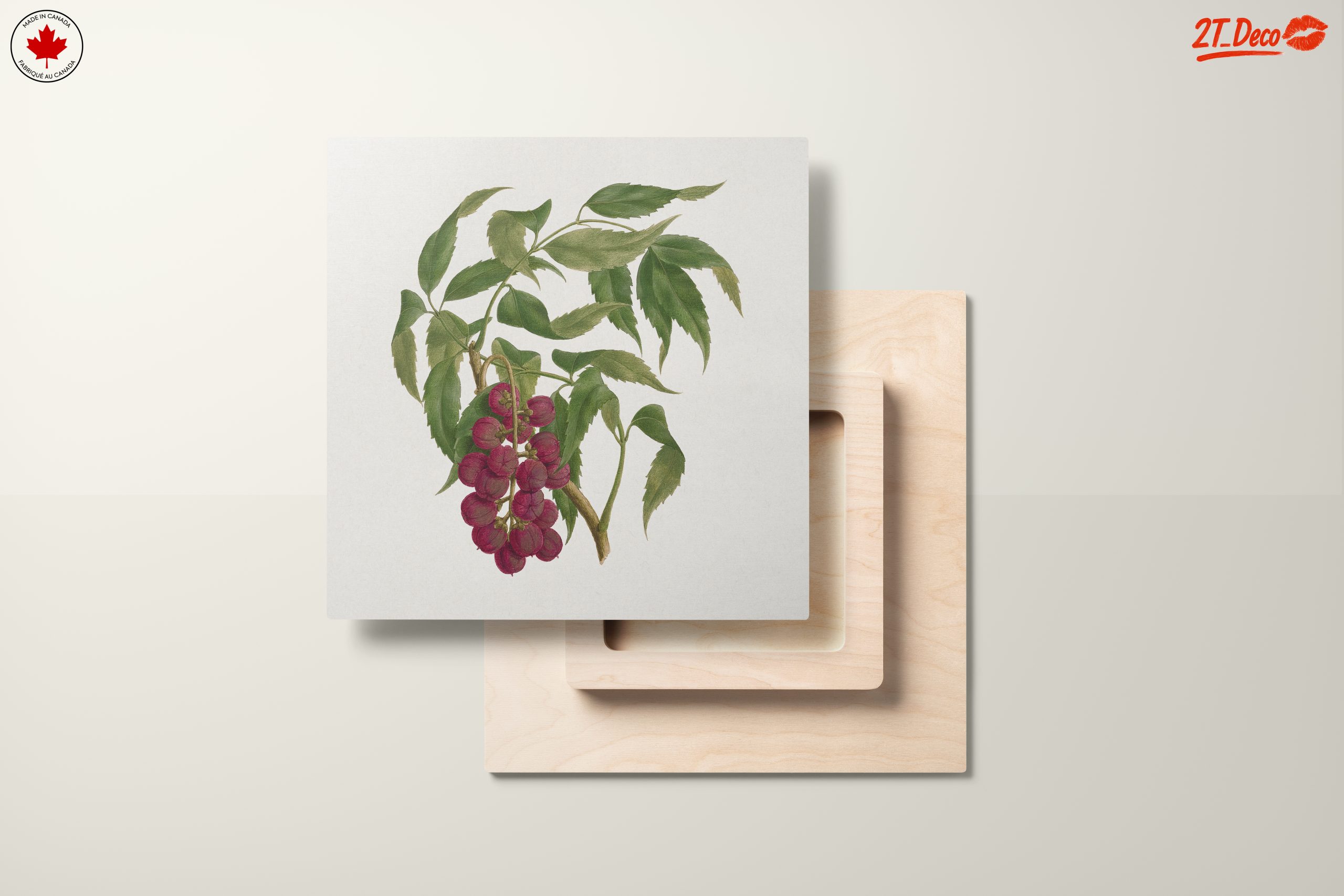 Detailed Botanical Illustration of Berries - Image 11