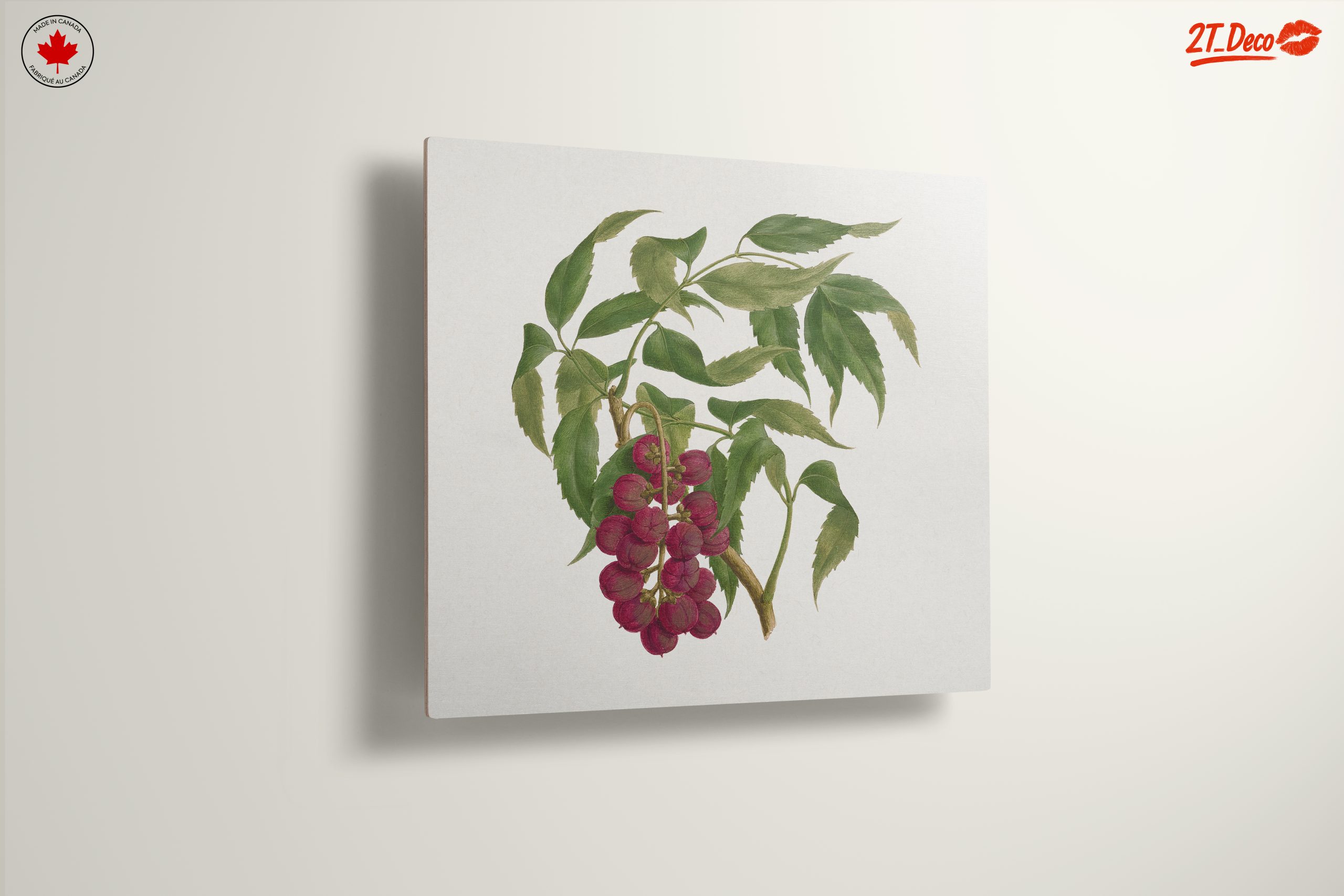 Detailed Botanical Illustration of Berries - Image 13