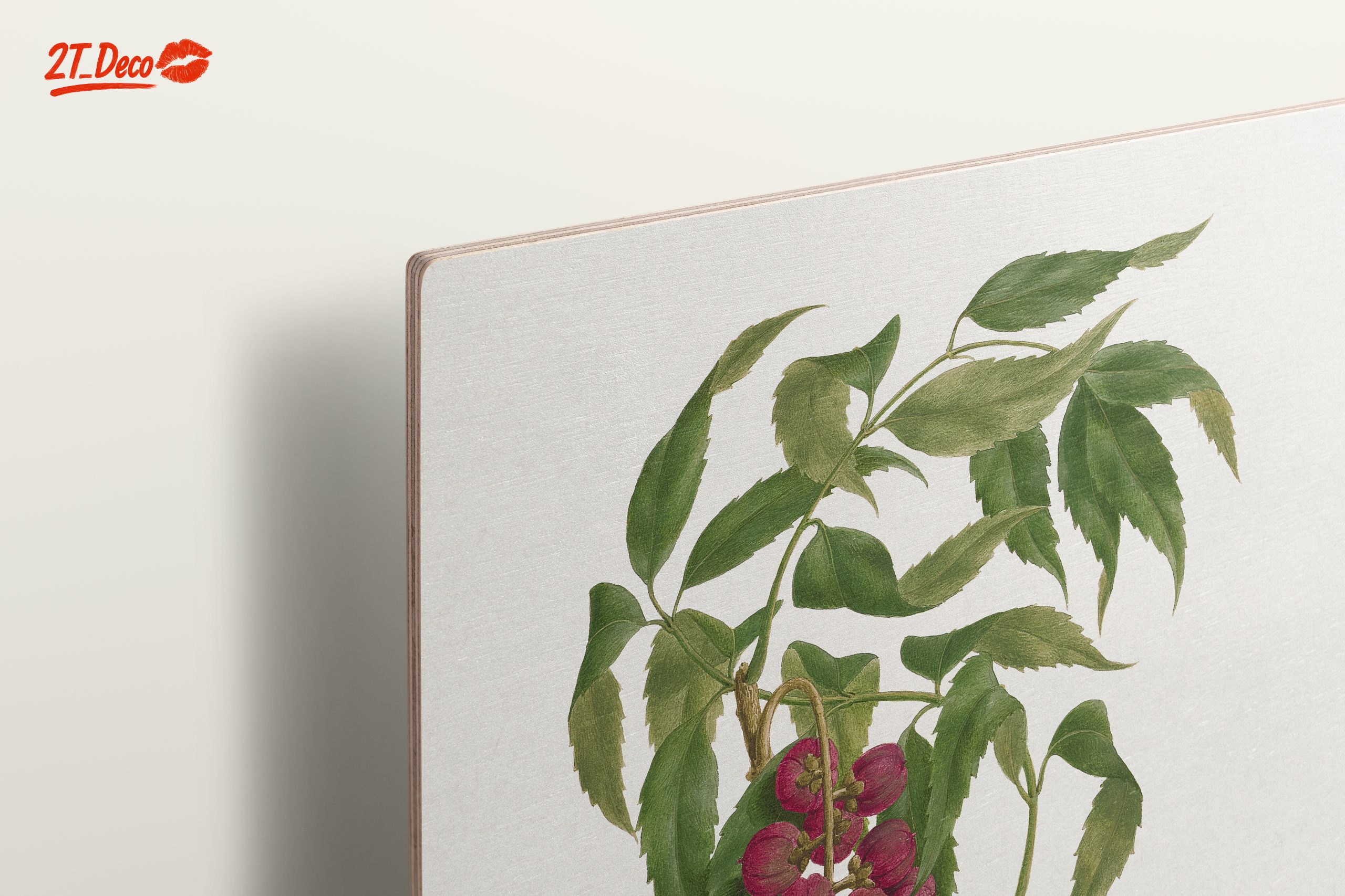 Detailed Botanical Illustration of Berries - Image 15