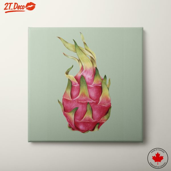 Stylized Dragon Fruit Artwork