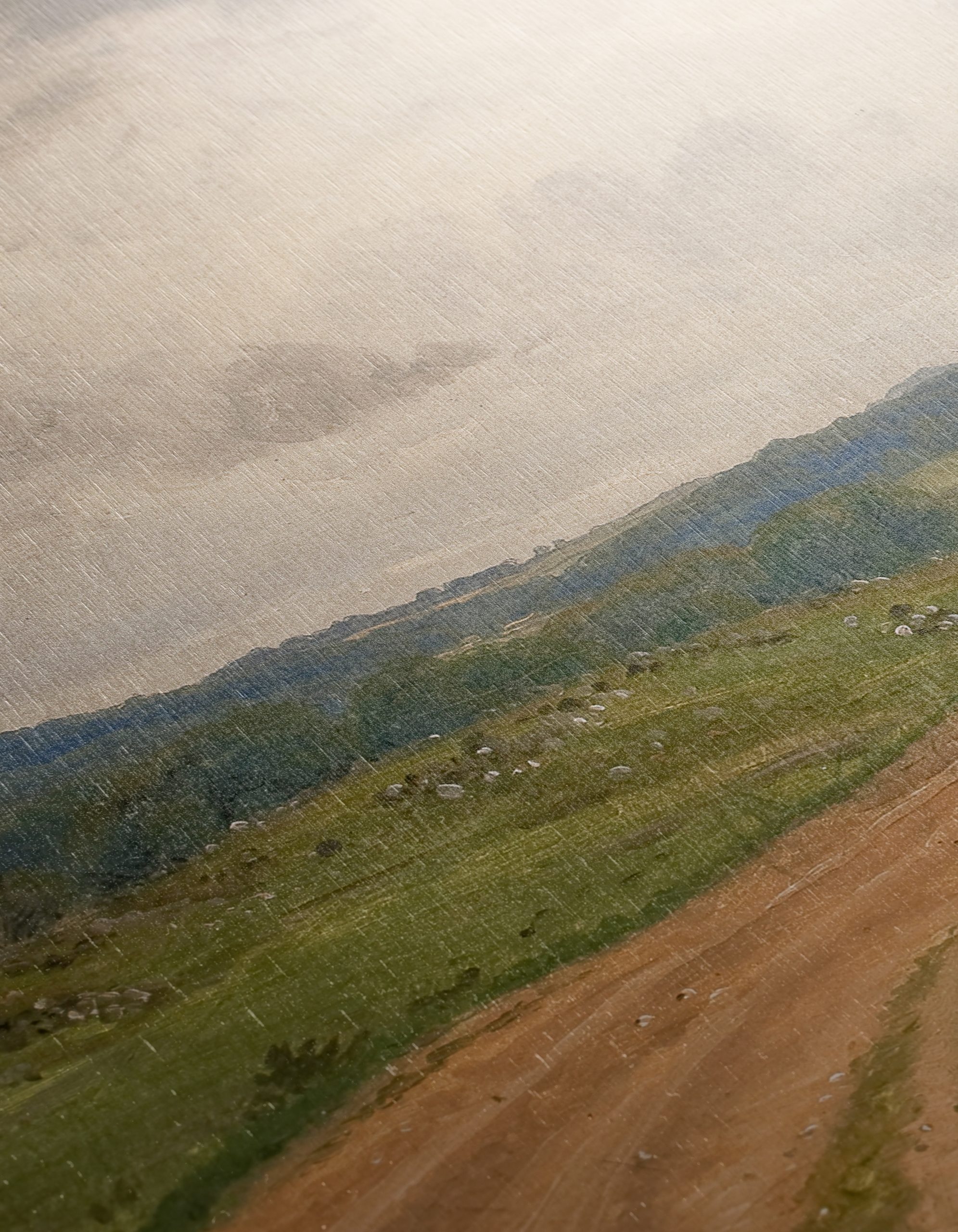 Serene Rural Landscape with Cows - Image 12