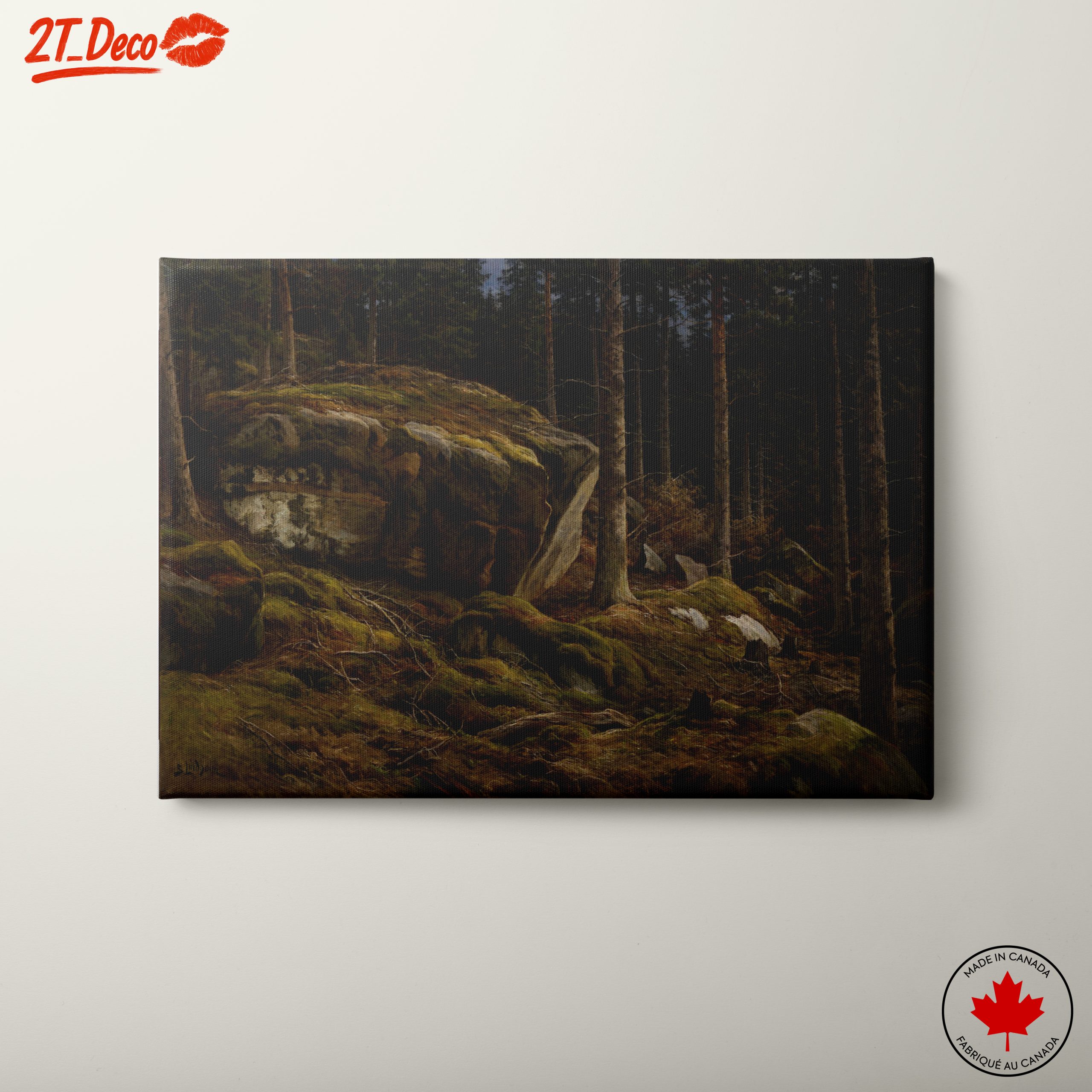 Serene Forest Landscape with Mossy Rocks