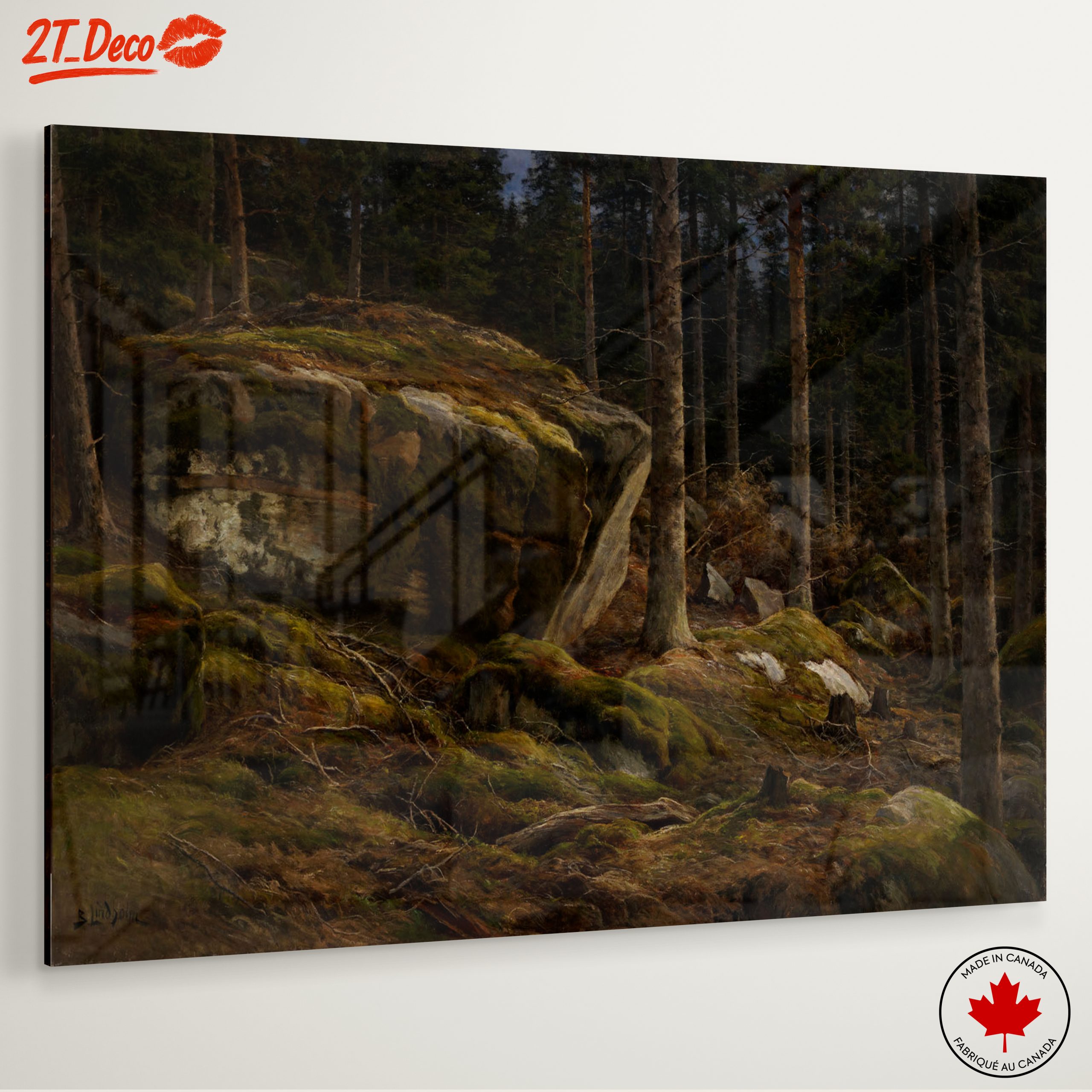 Serene Forest Landscape with Mossy Rocks - Image 6