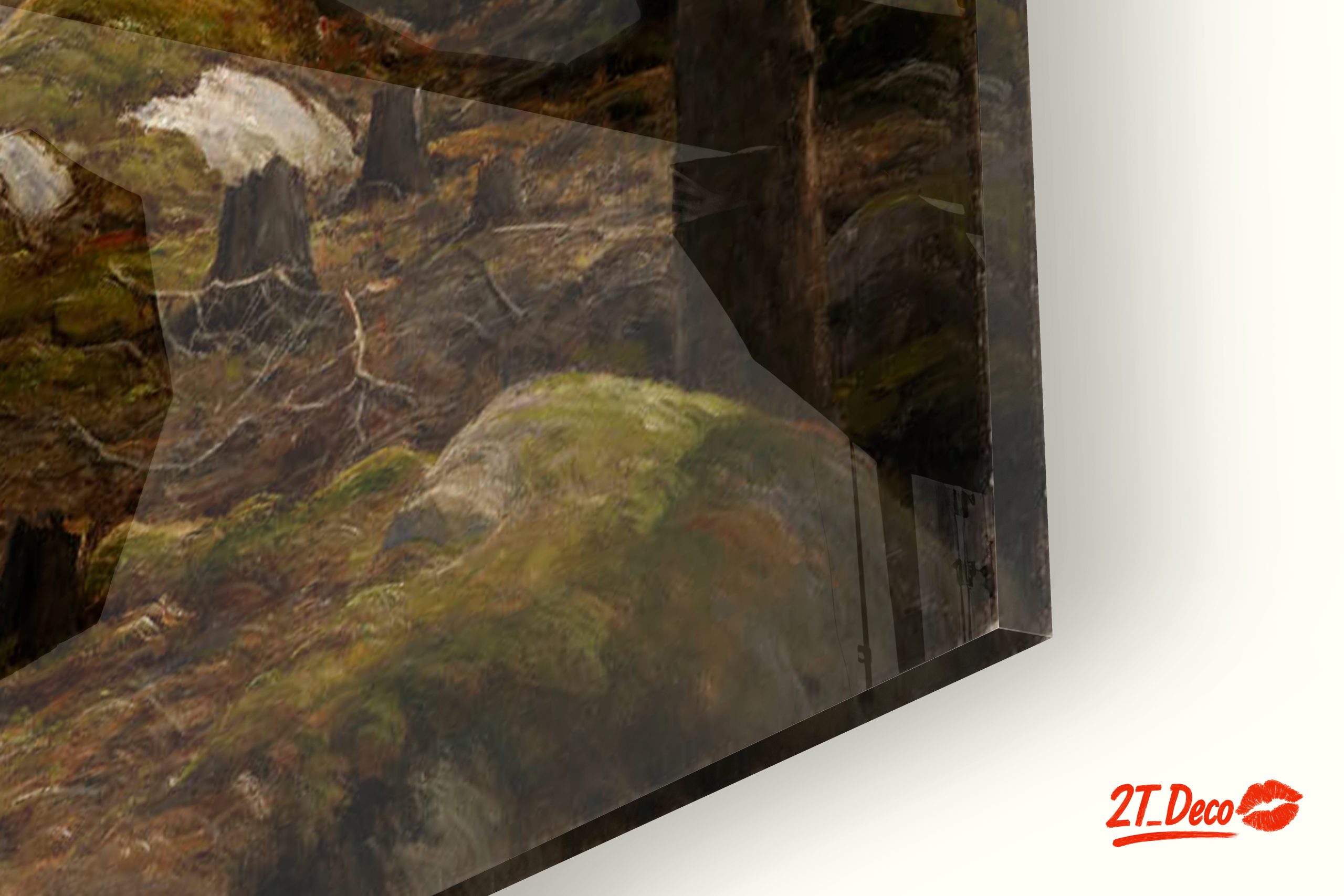 Serene Forest Landscape with Mossy Rocks - Image 9
