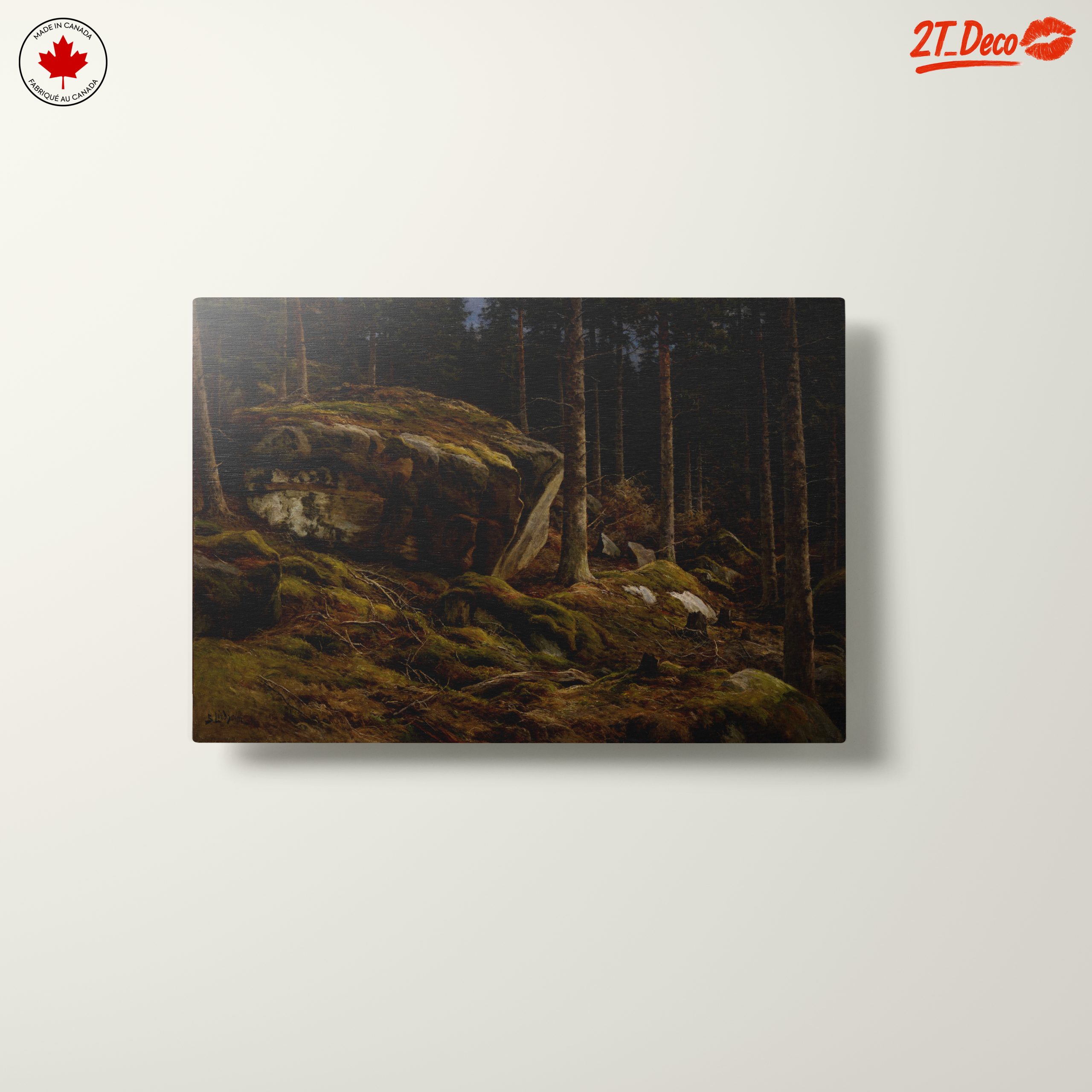 Serene Forest Landscape with Mossy Rocks - Image 10
