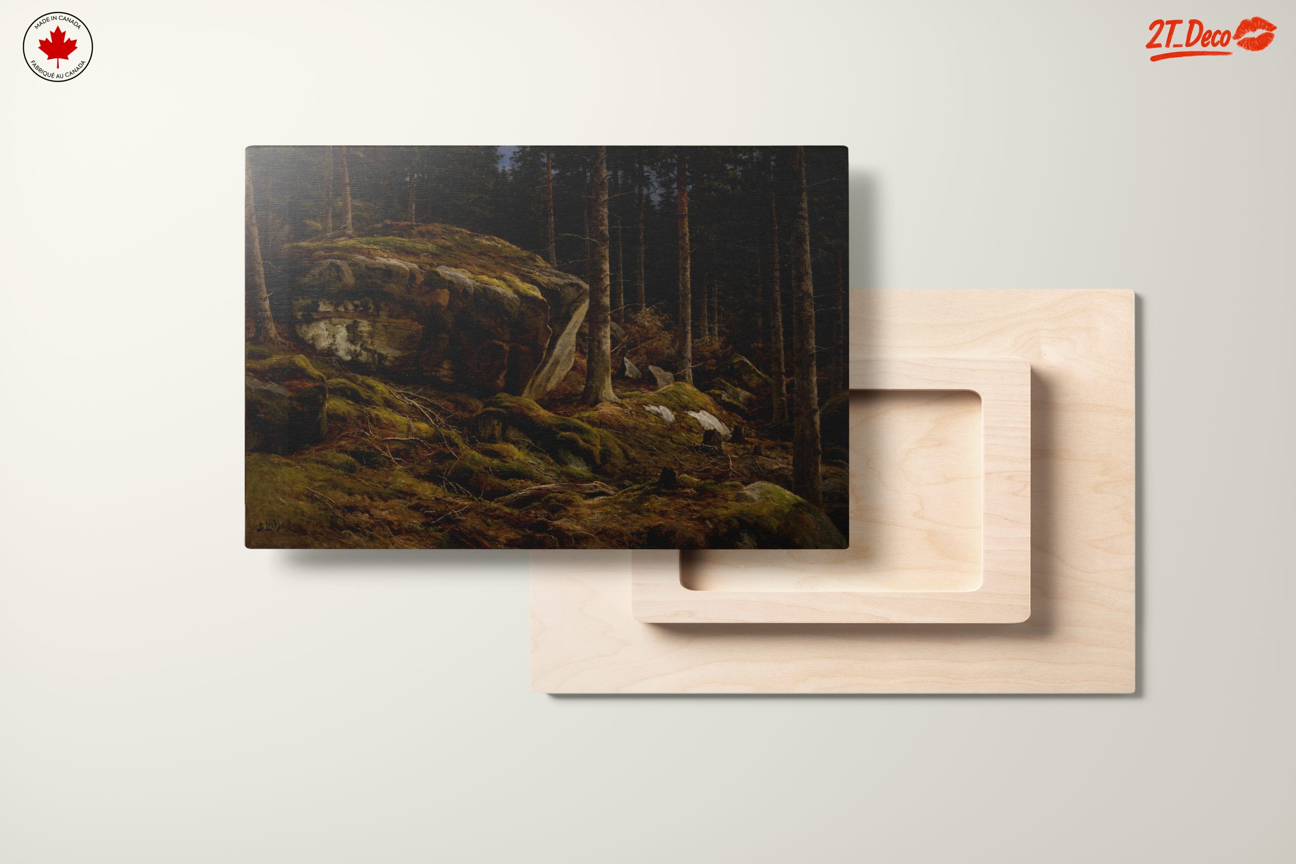 Serene Forest Landscape with Mossy Rocks - Image 11