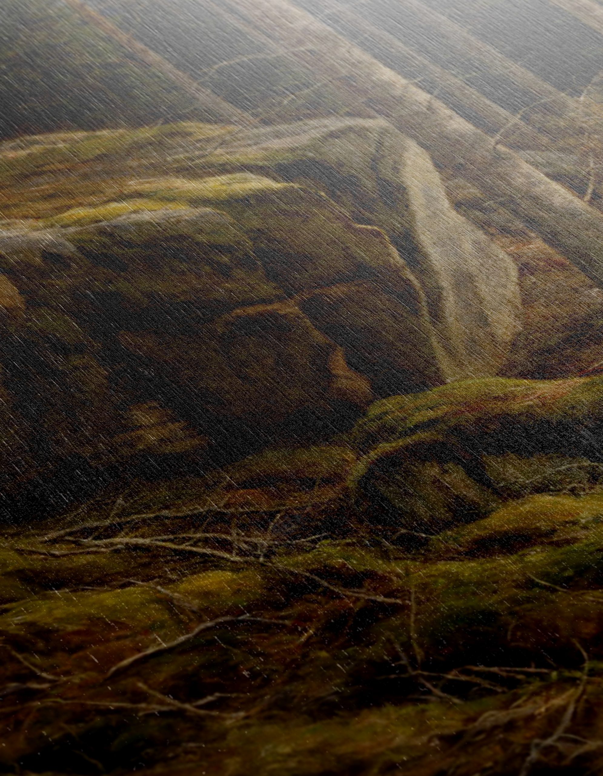 Serene Forest Landscape with Mossy Rocks - Image 12