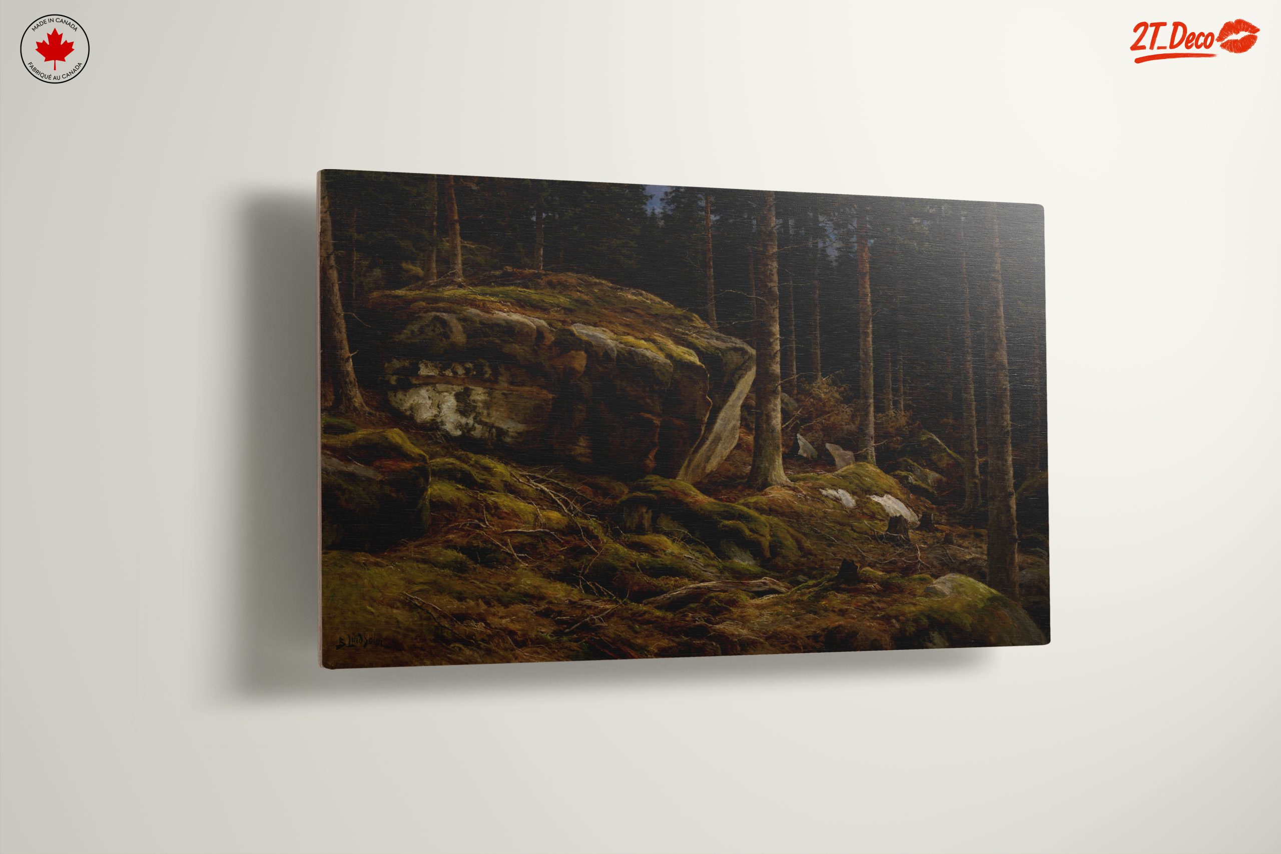 Serene Forest Landscape with Mossy Rocks - Image 13