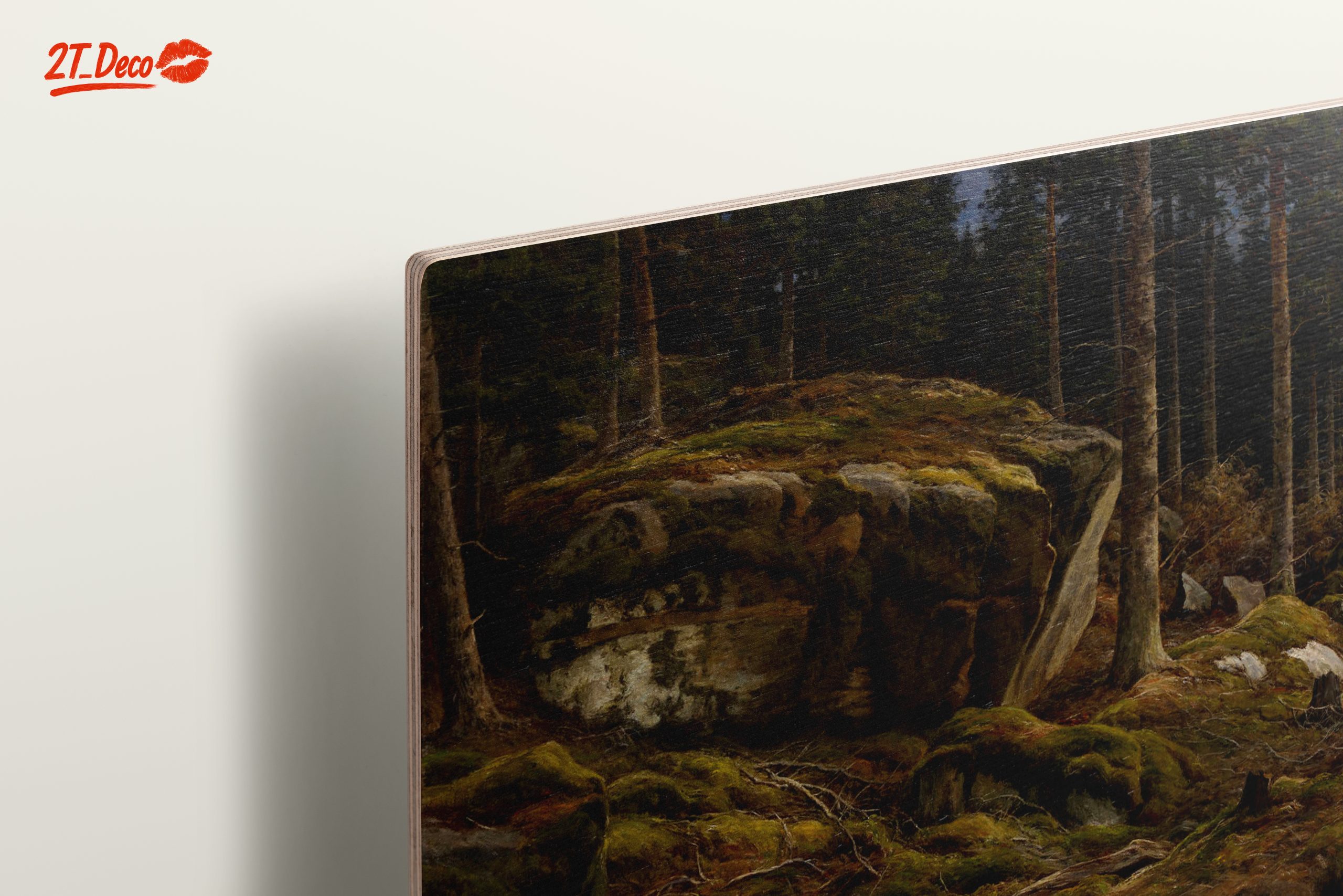Serene Forest Landscape with Mossy Rocks - Image 15