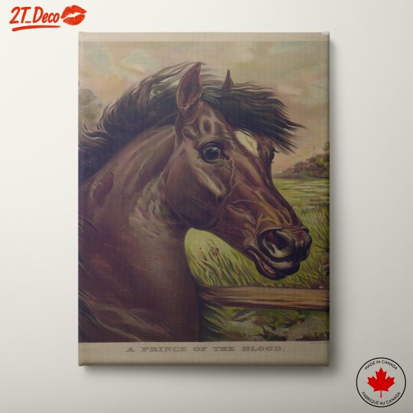 Portrait of a Majestic Horse