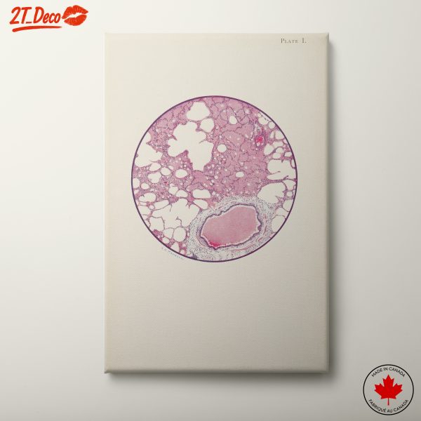 Intricate Cellular Biology Art