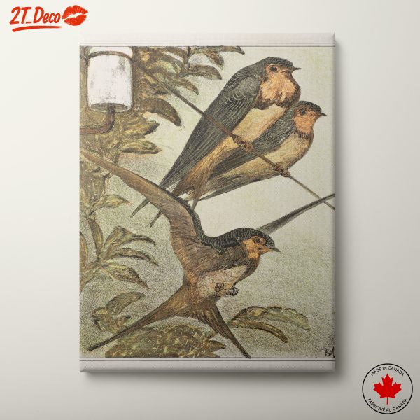 Detailed Illustration of Swallows in Nature
