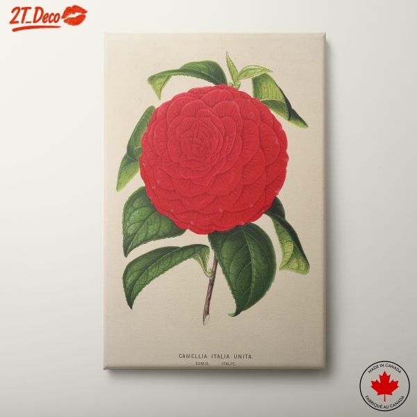 Vibrant Camellia Flower Illustration