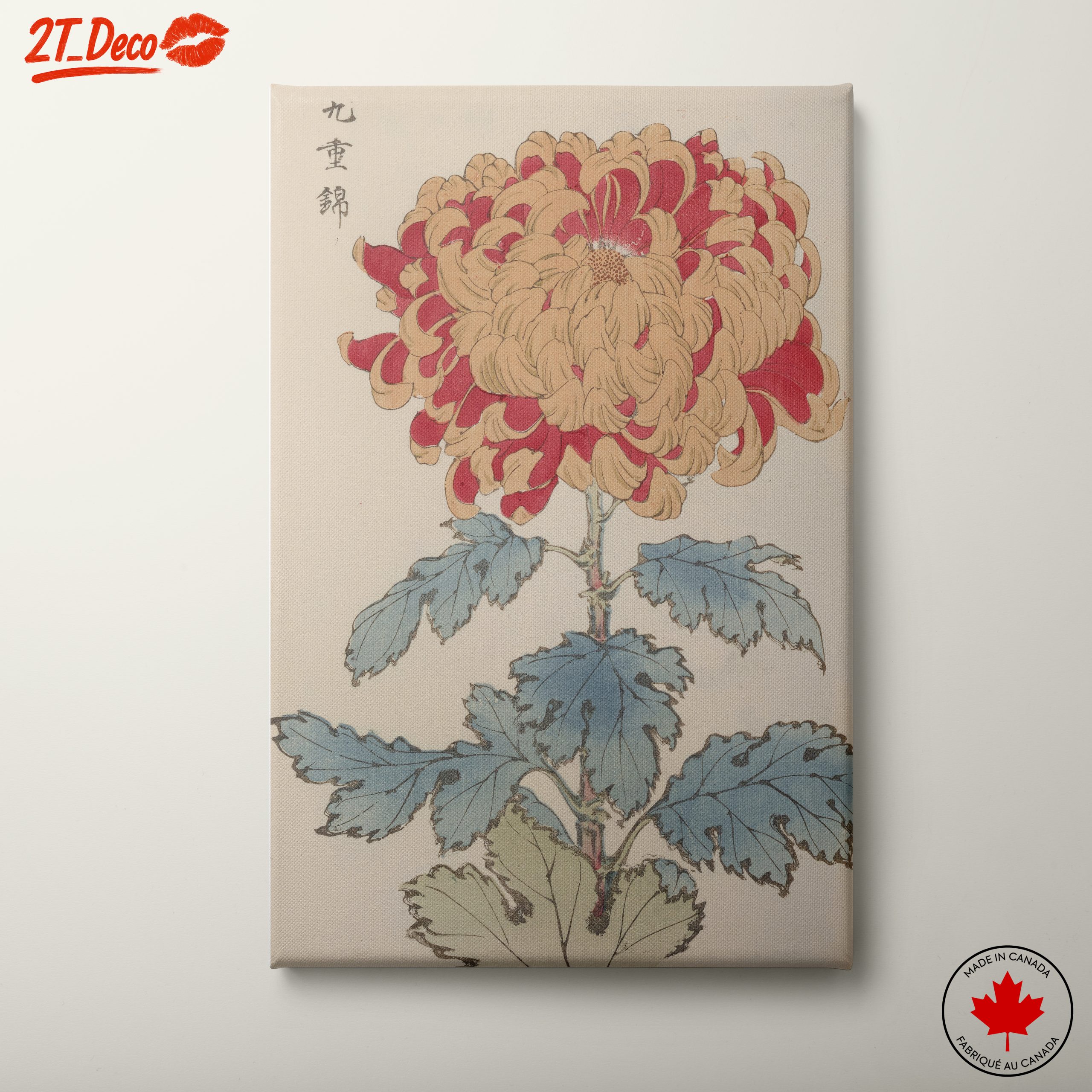 Beautiful Chrysanthemum Botanical Art