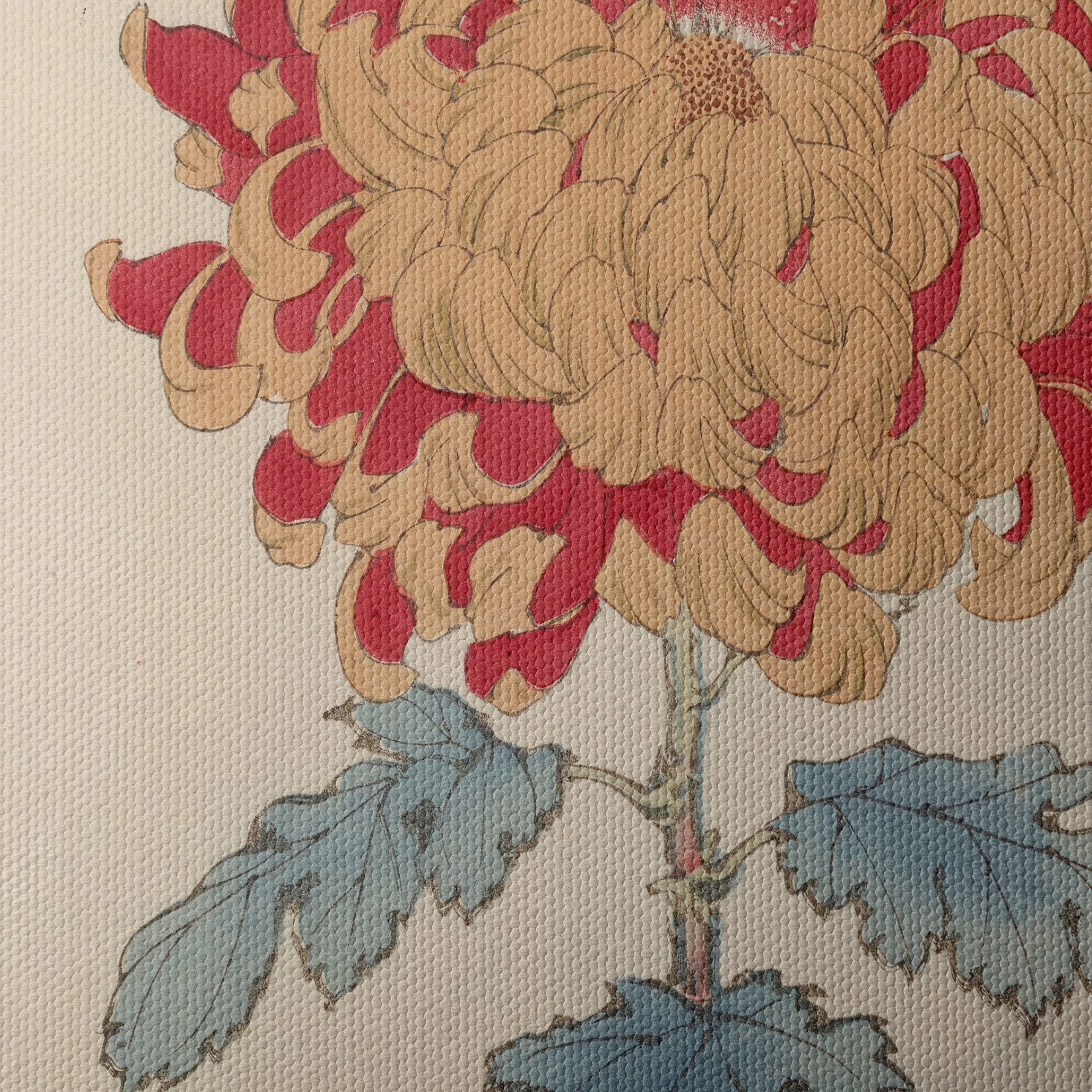 Beautiful Chrysanthemum Botanical Art - Image 4