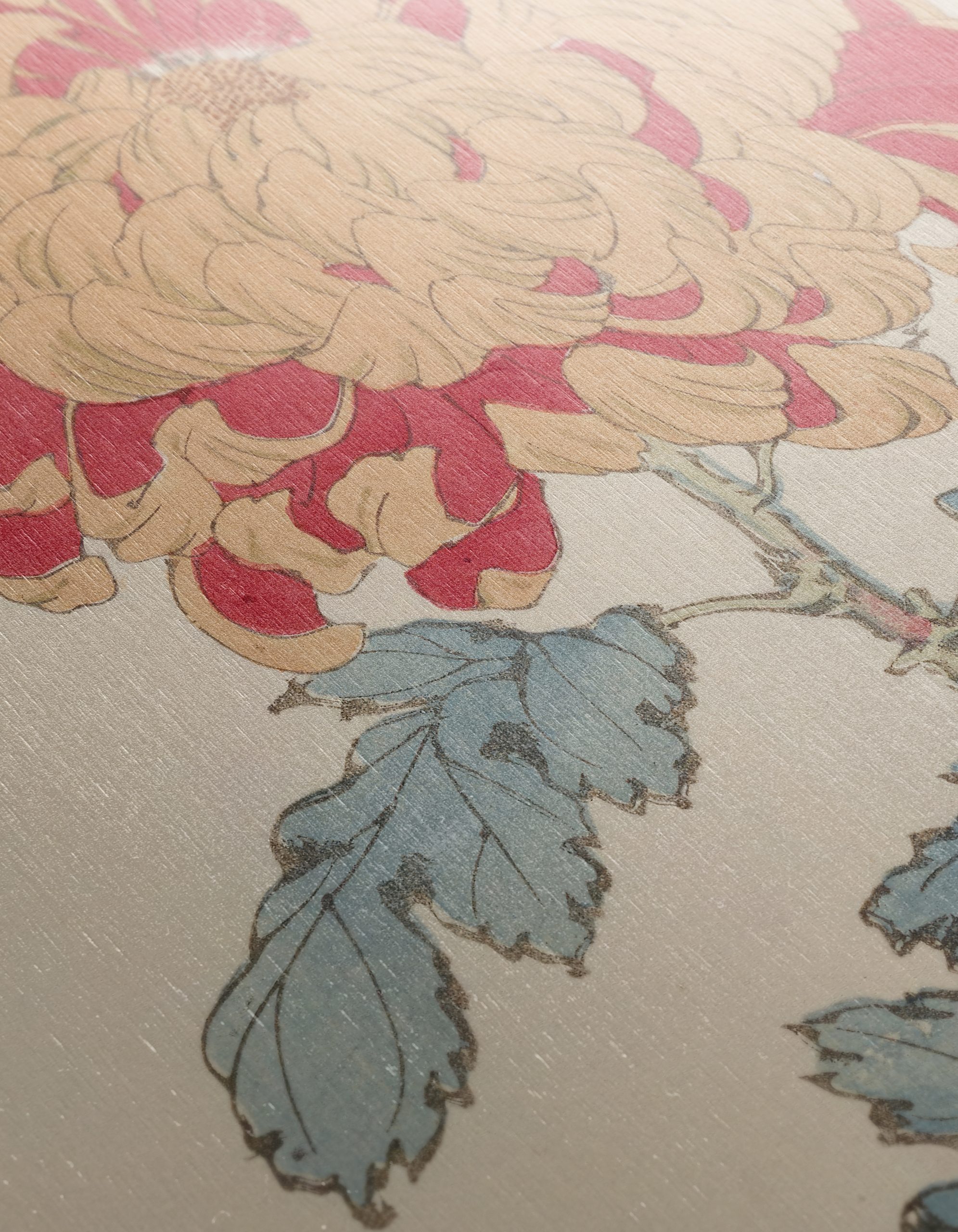 Beautiful Chrysanthemum Botanical Art - Image 12